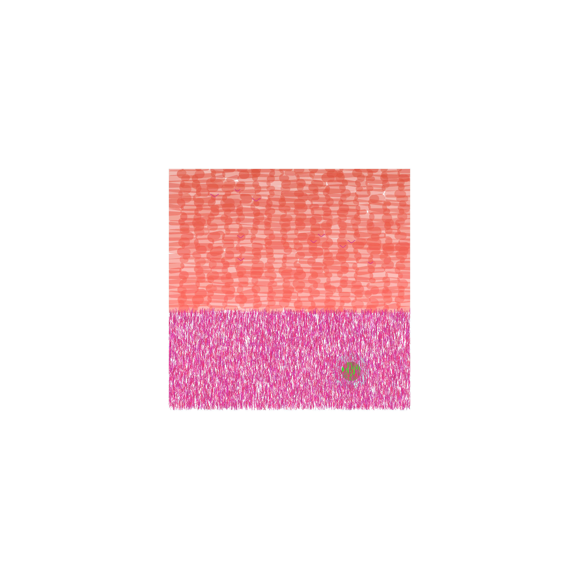 28000008