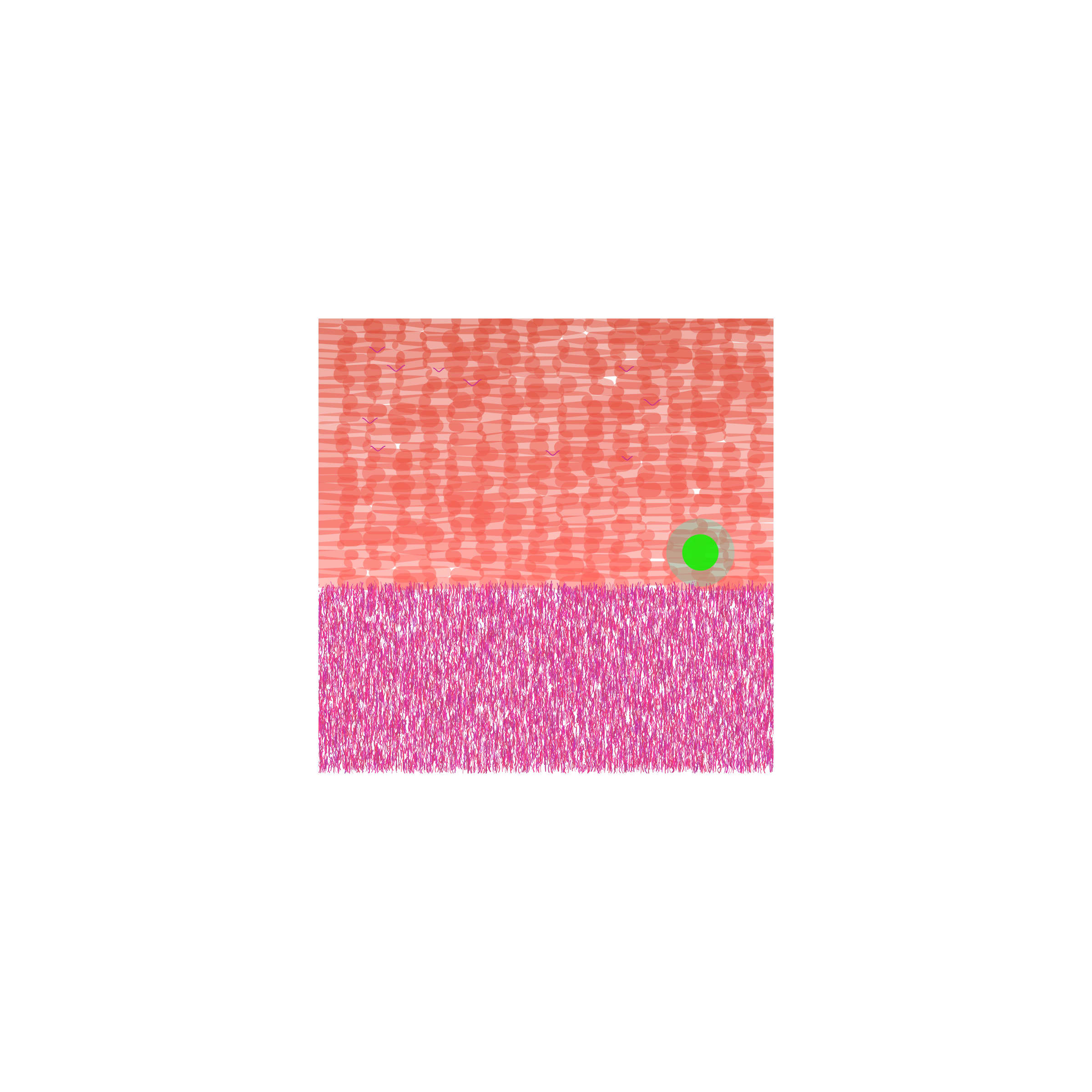 28000009