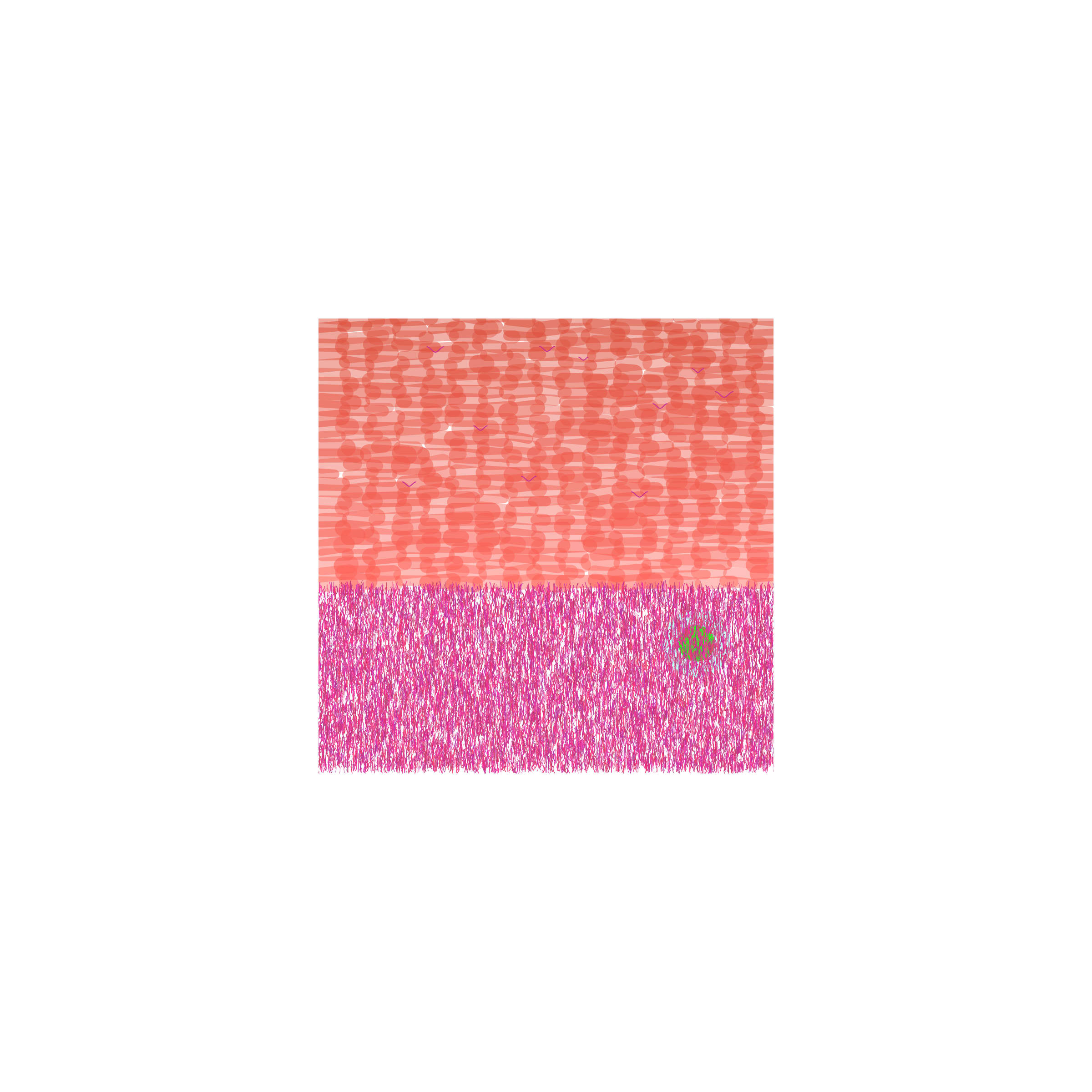 28000010