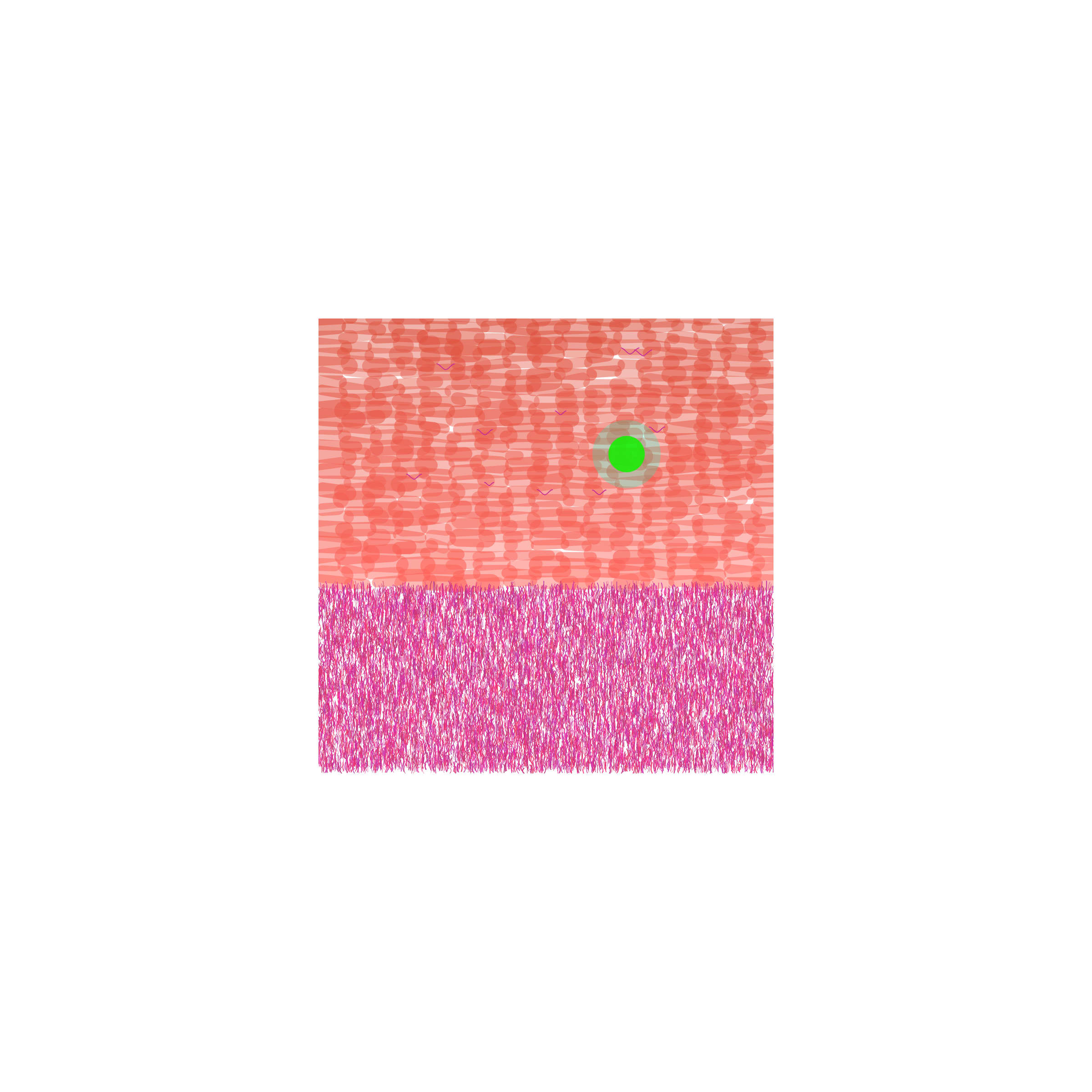 20/05/2025