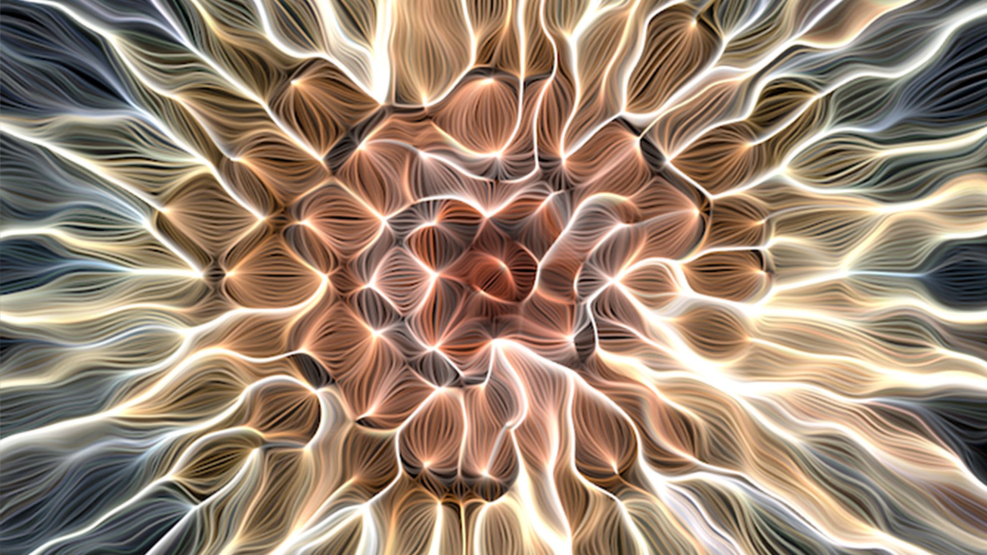 Article thumbnail for: In Conversation with Alexis André on 720 Minutes