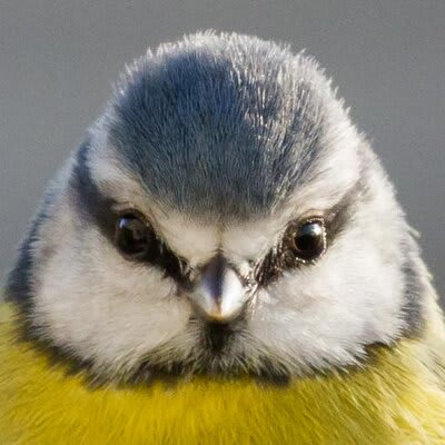 Michael G Devereux's profile picture