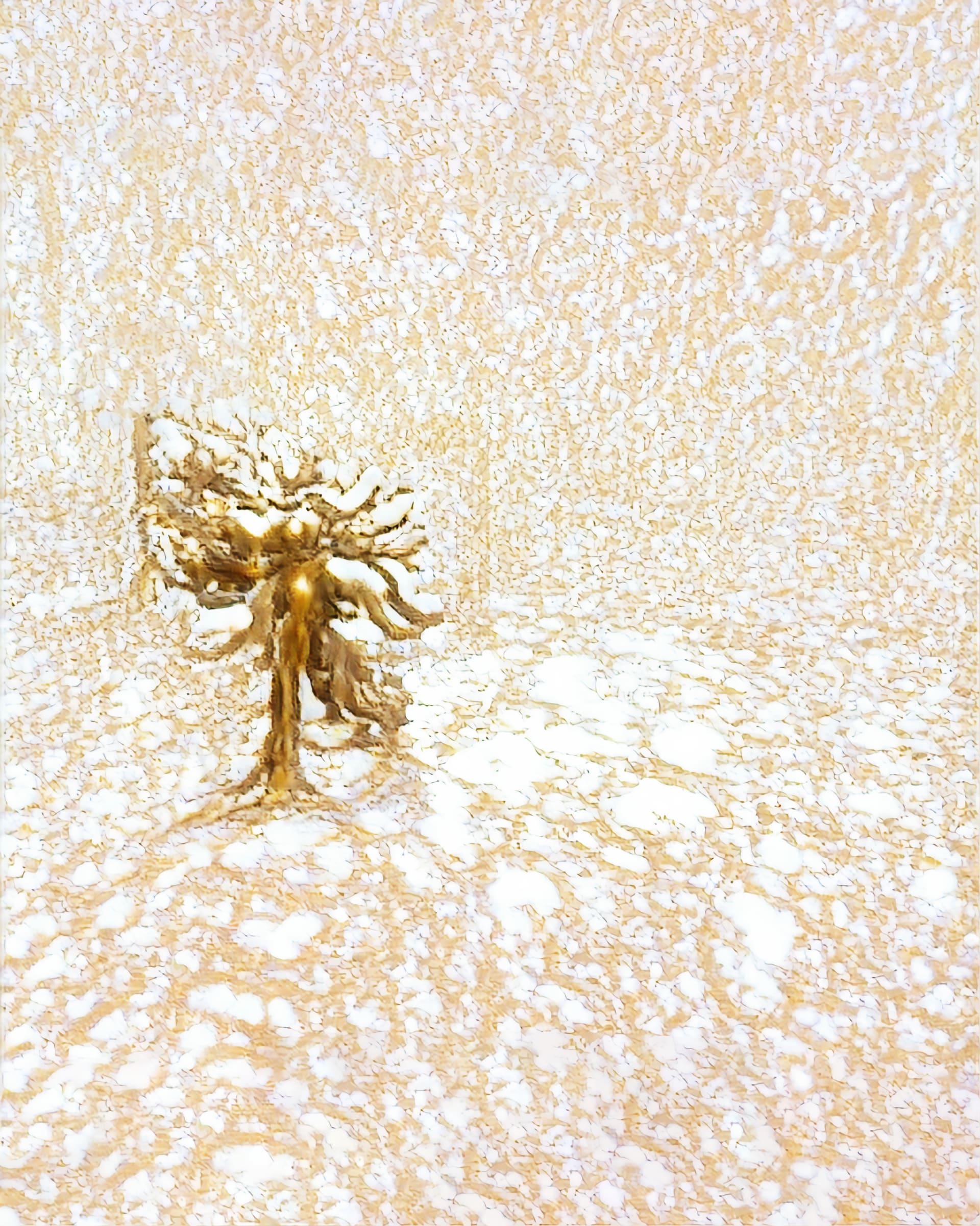 le travail des rêves #3