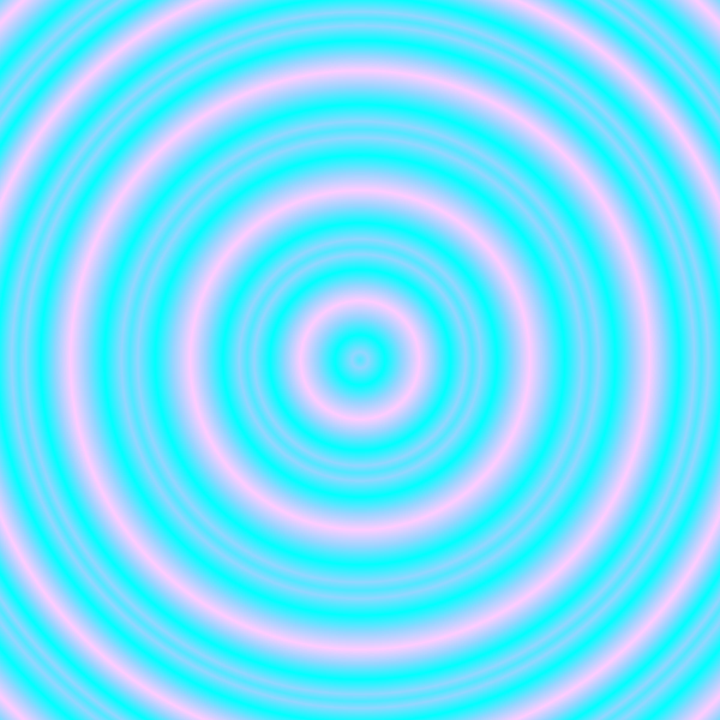 24000013