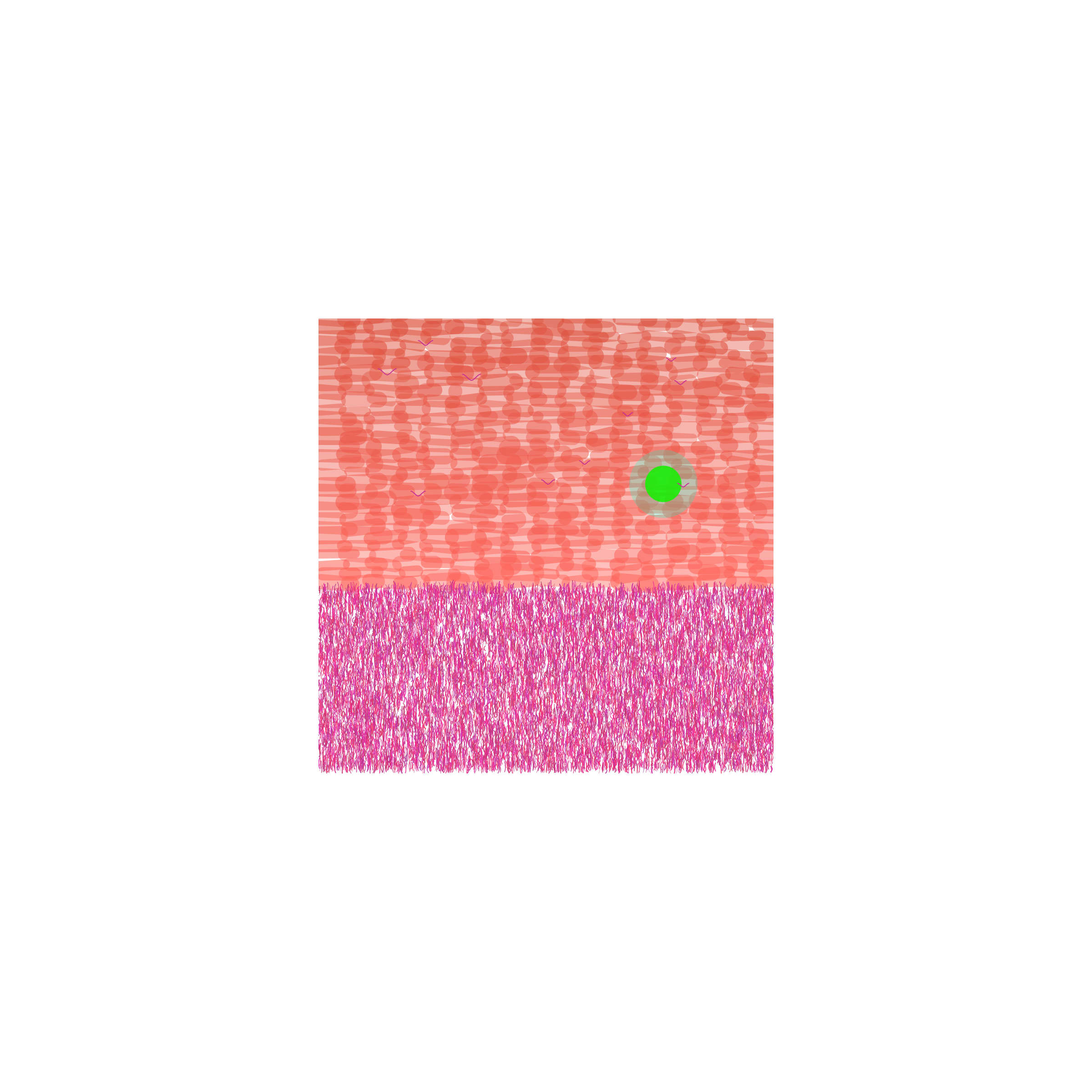 Featured token for: 20/05/2025