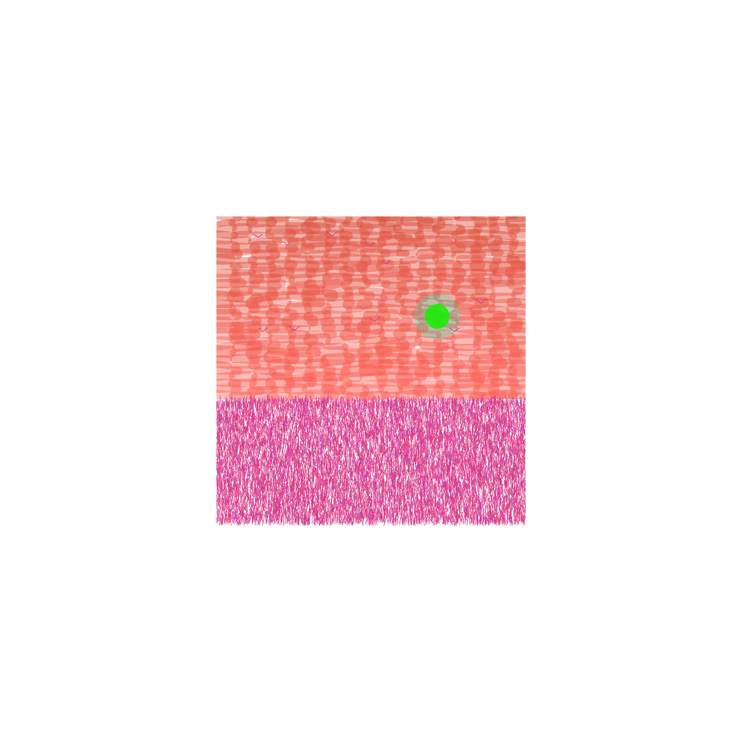 Featured token for: 26/05/2025