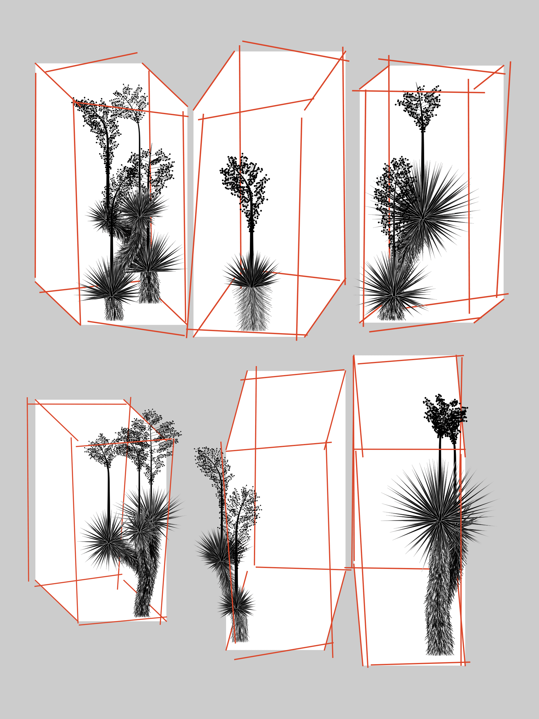 Featured token for: Marfa Yucca