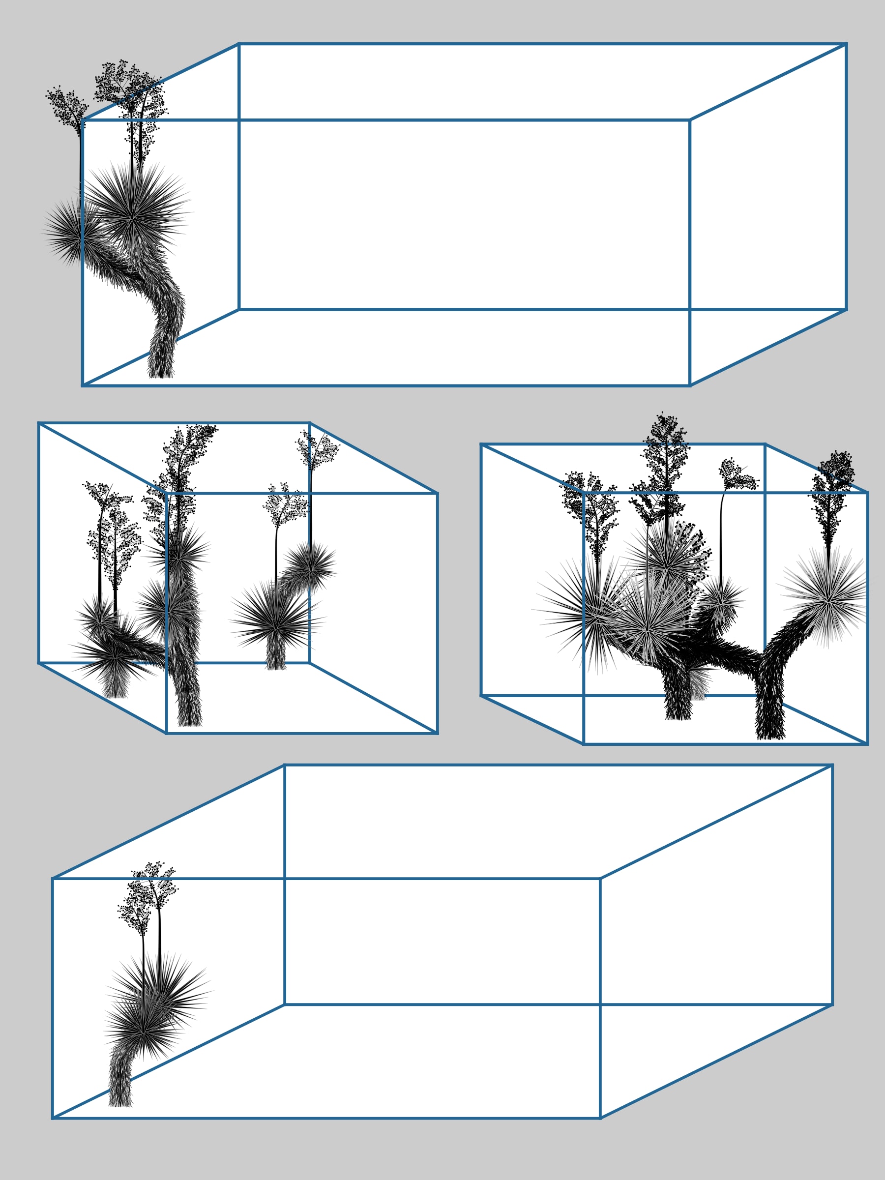 Featured token for: Marfa Yucca