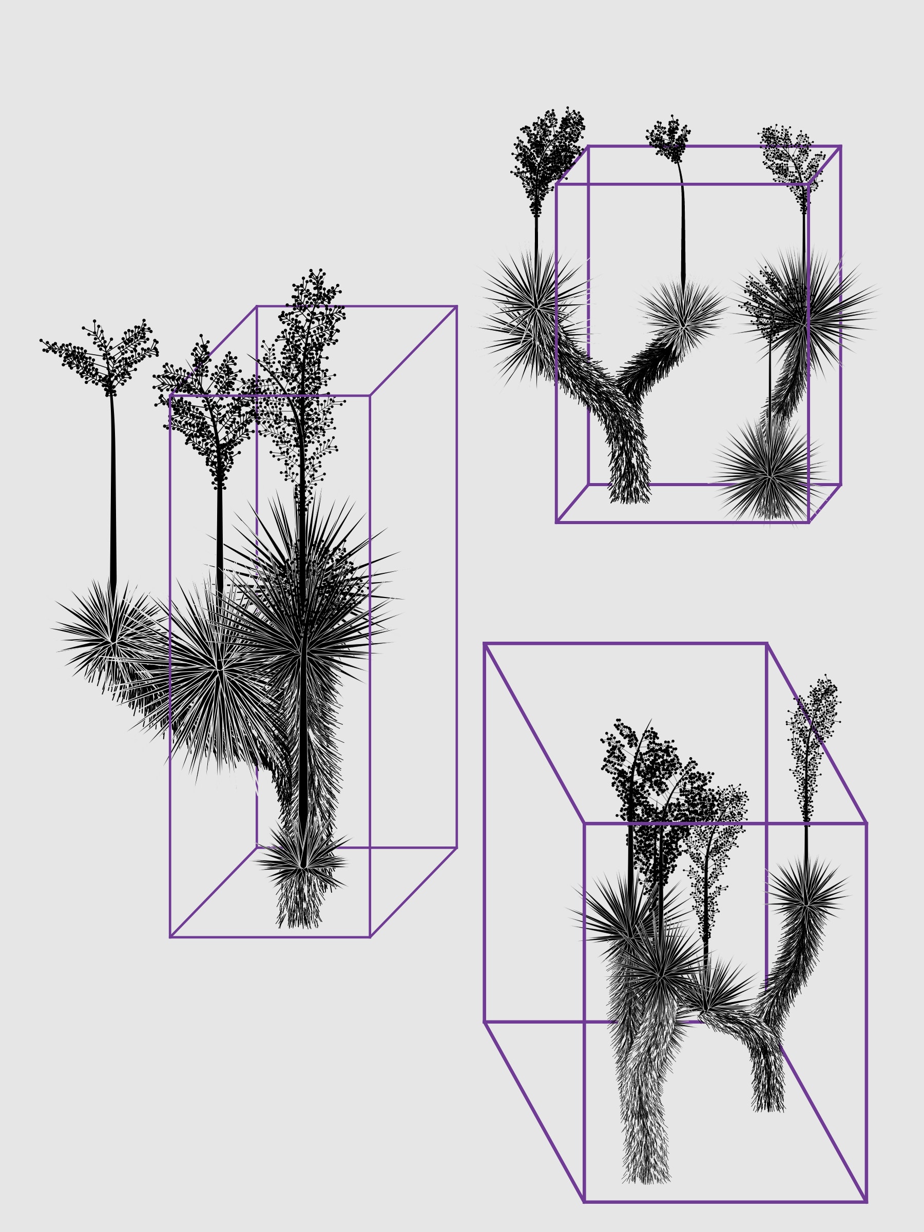 Featured token for: Marfa Yucca