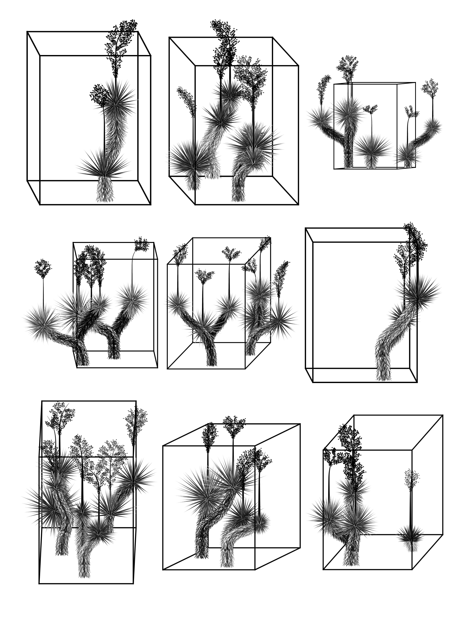 Featured token for: Marfa Yucca