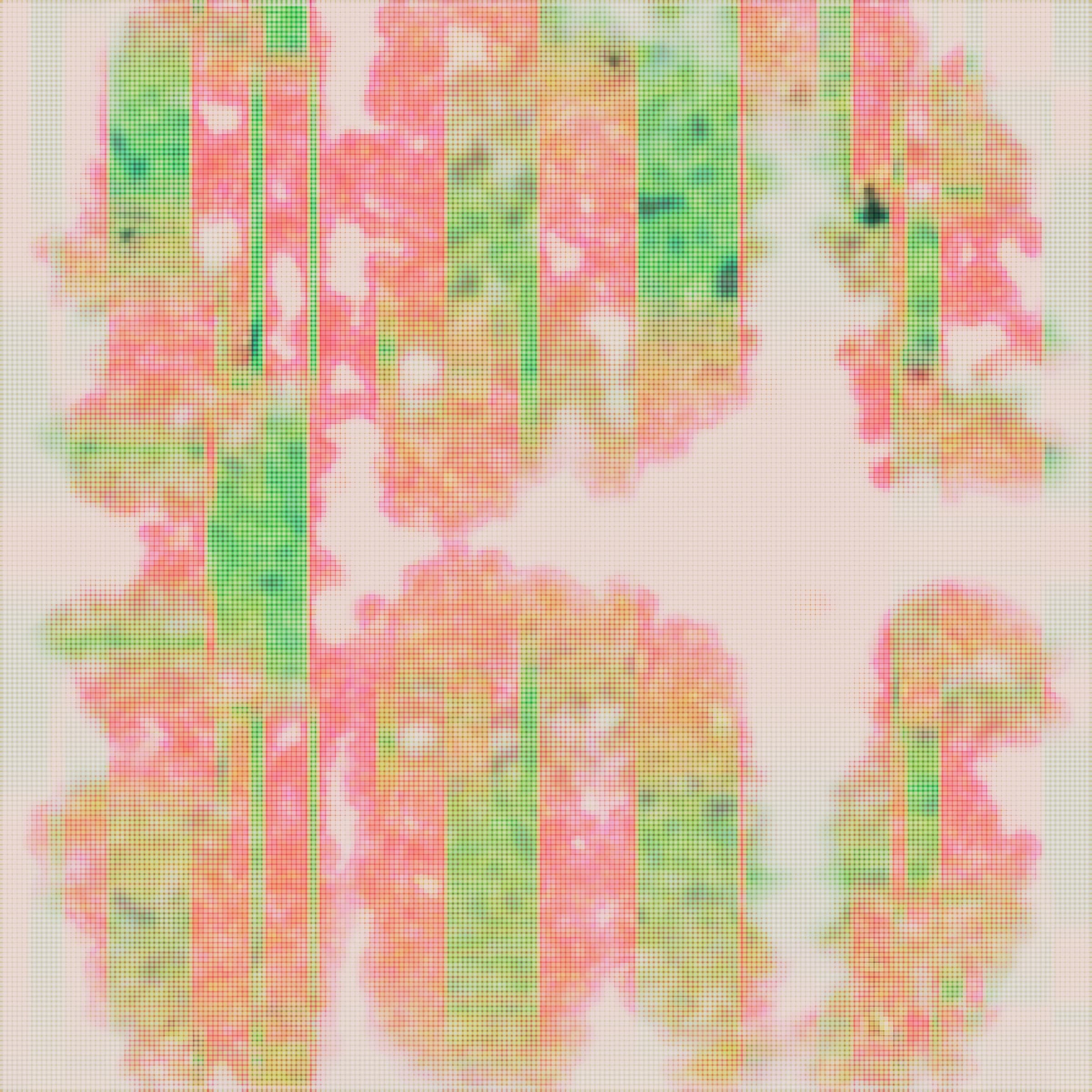 video placeholder image