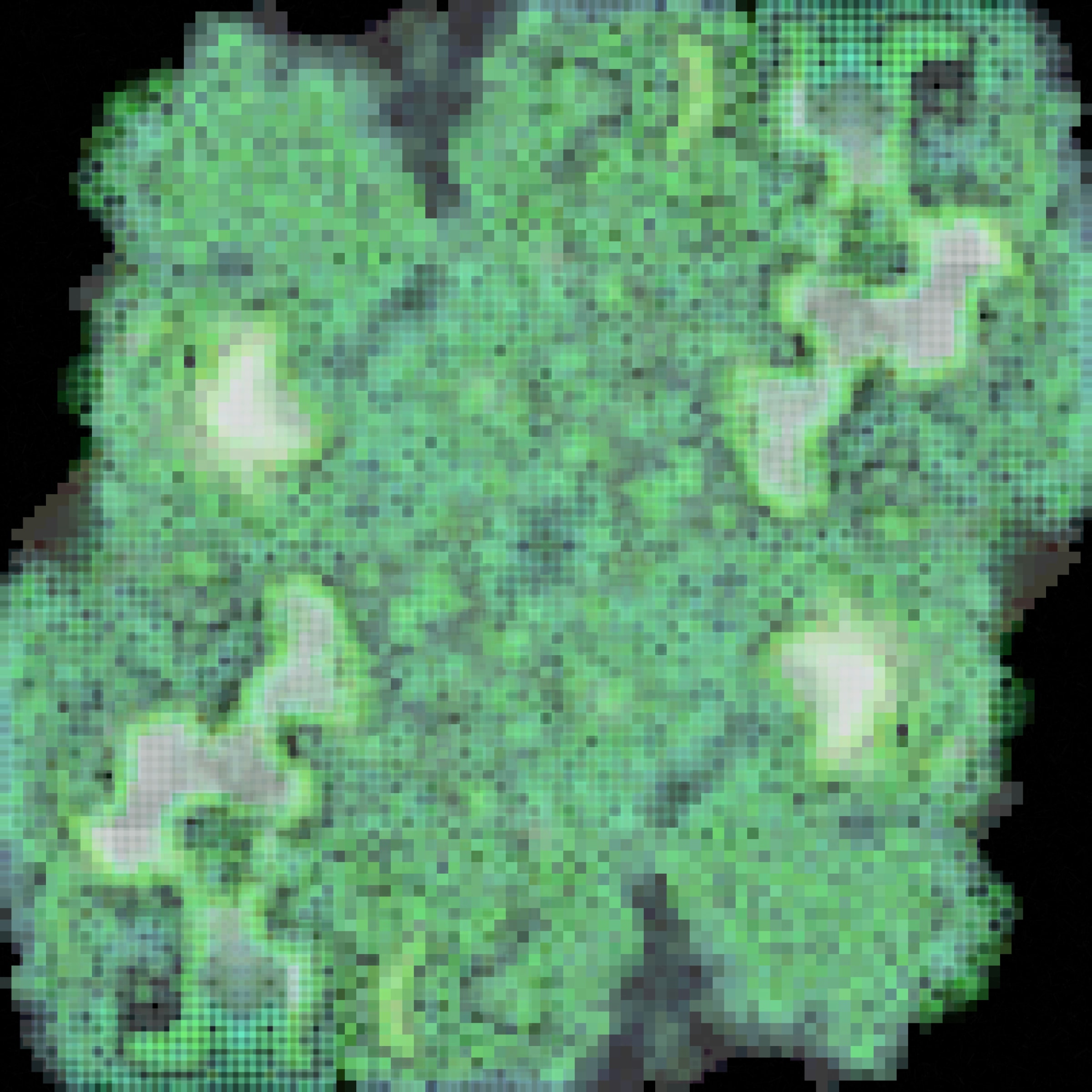 video placeholder image