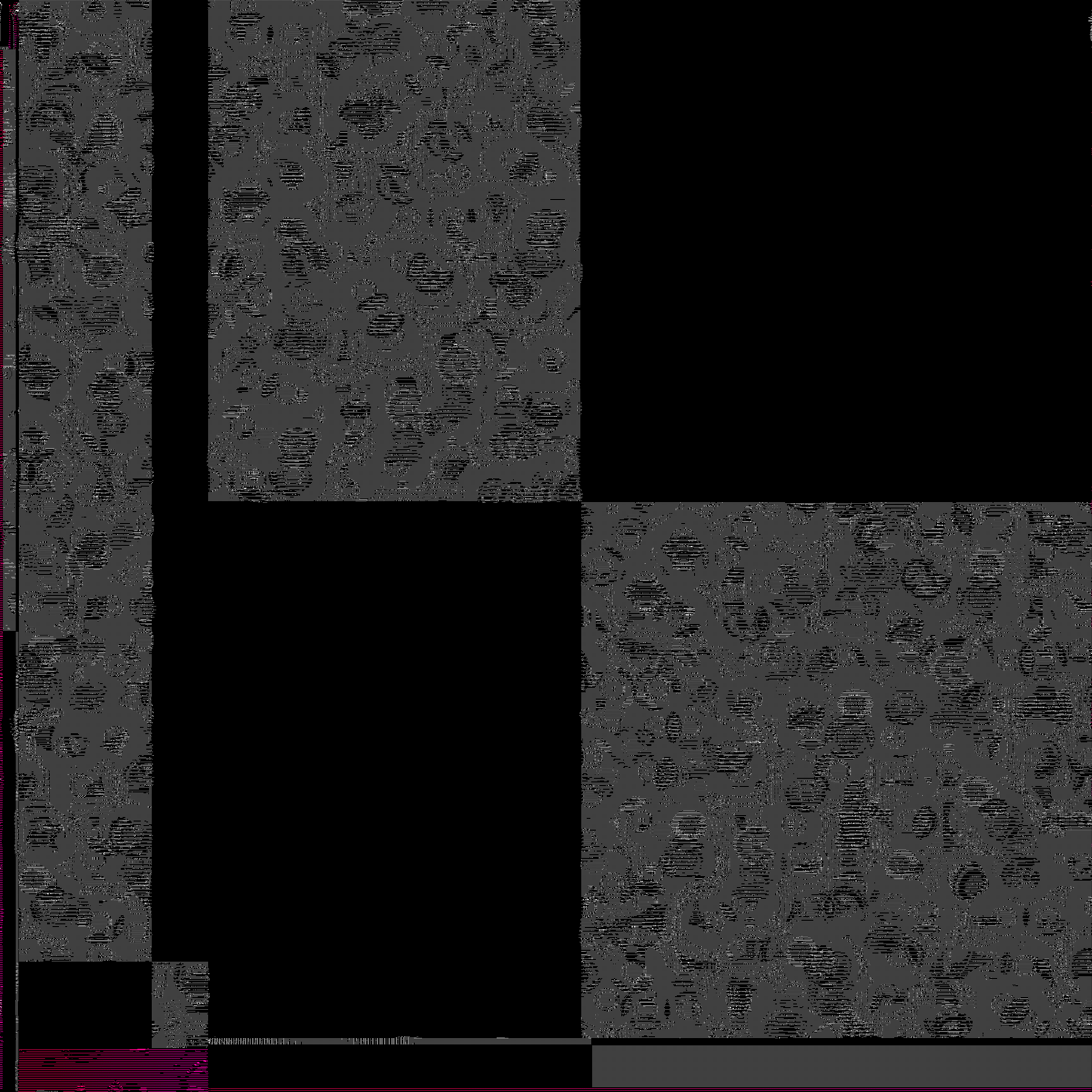 426000322