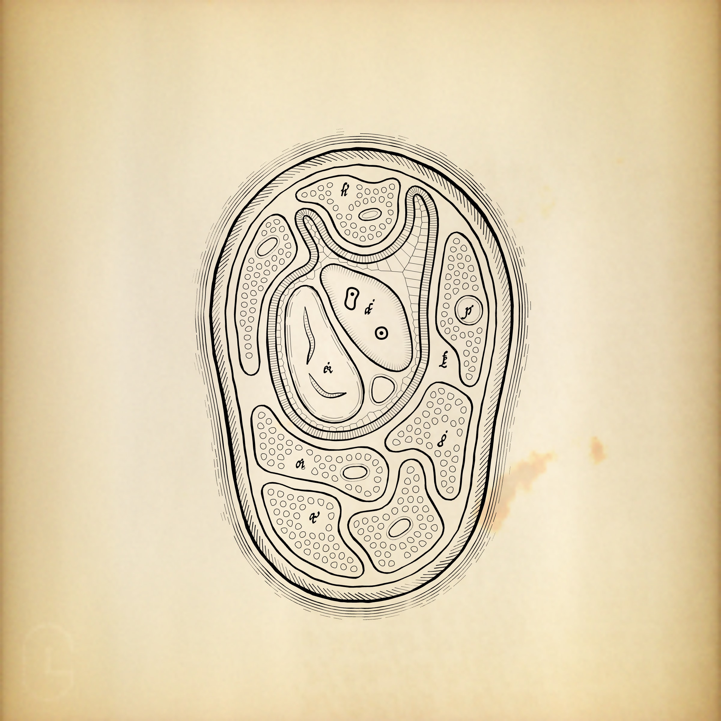 Featured token for: Cytographia