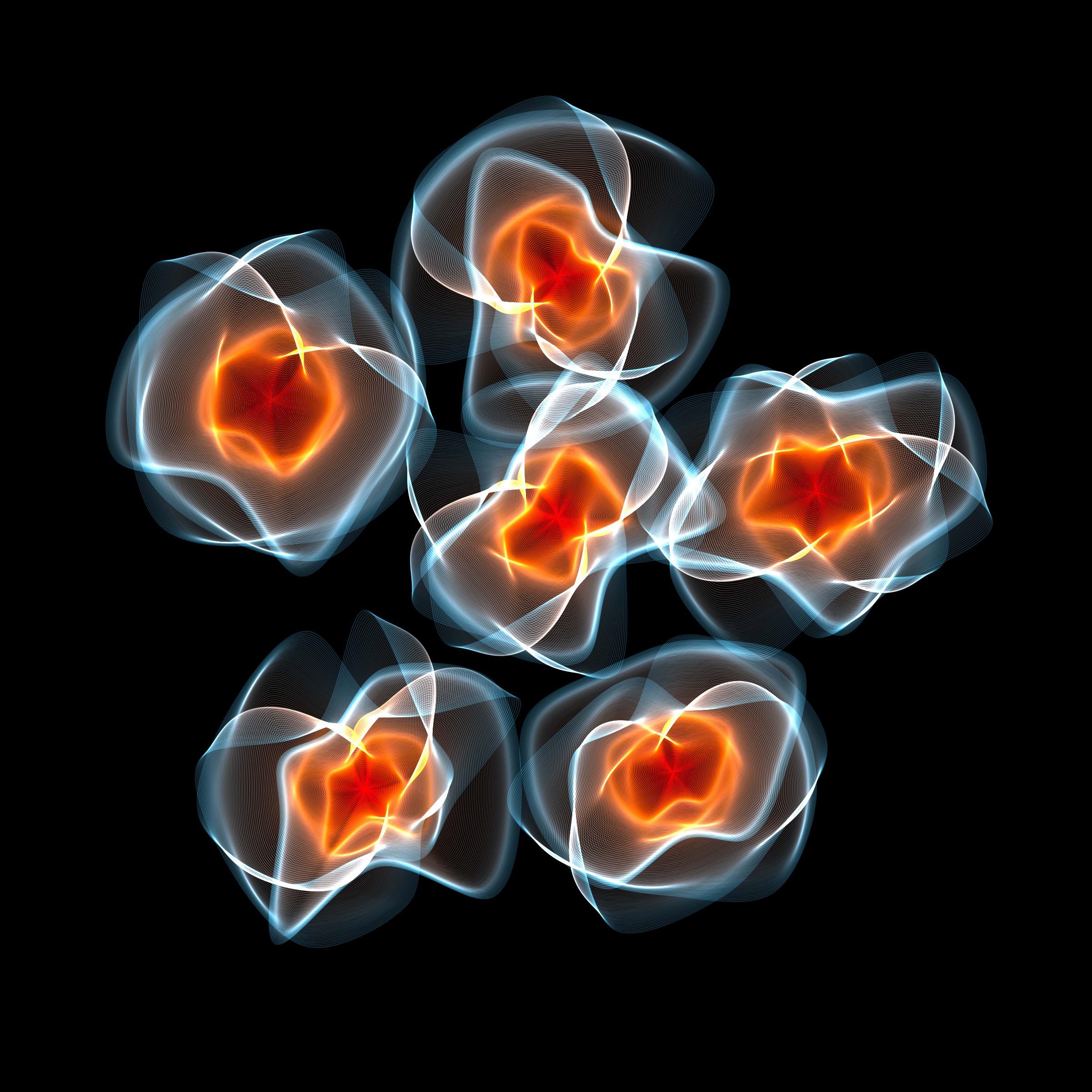 Flowers #116001571
