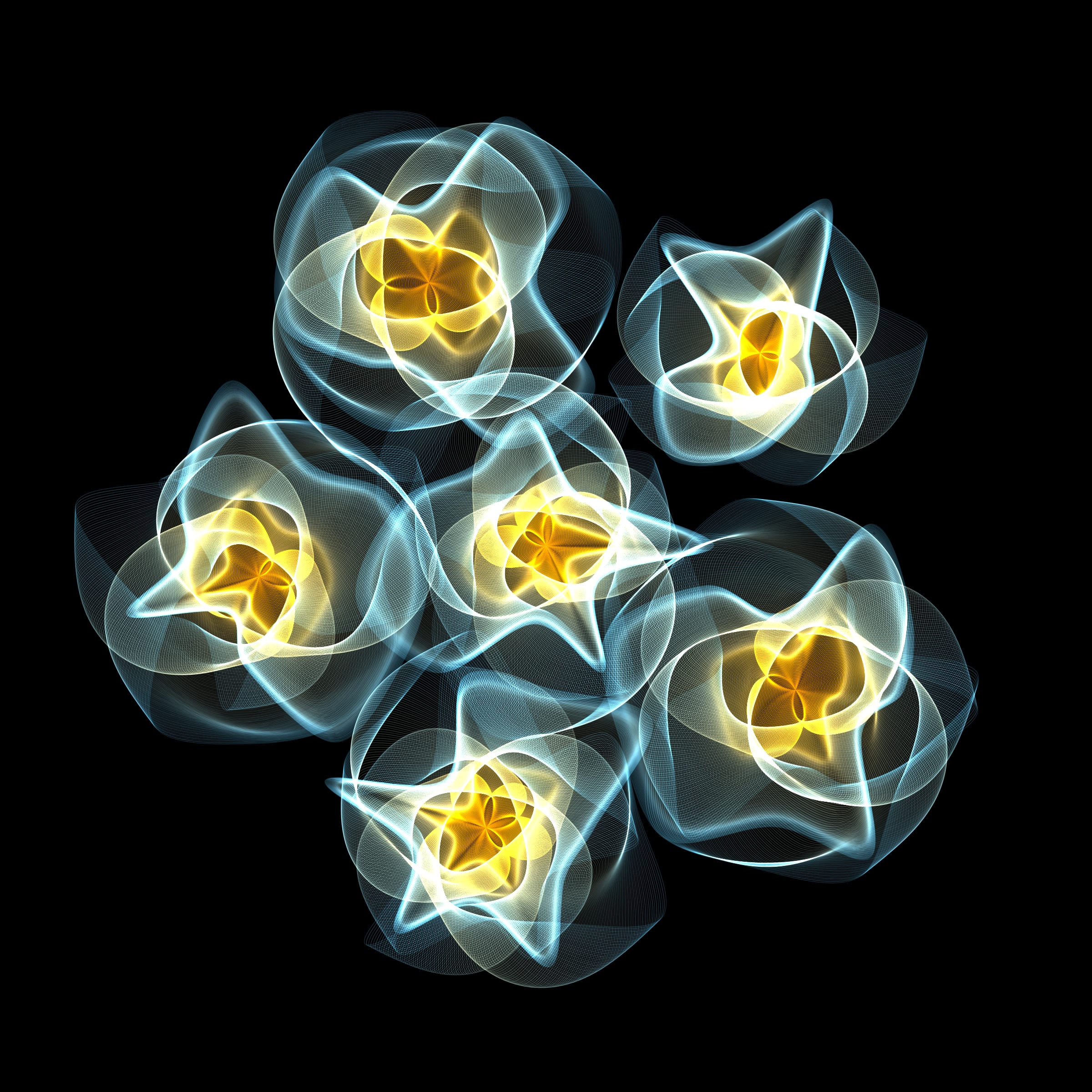 Flowers #116002514