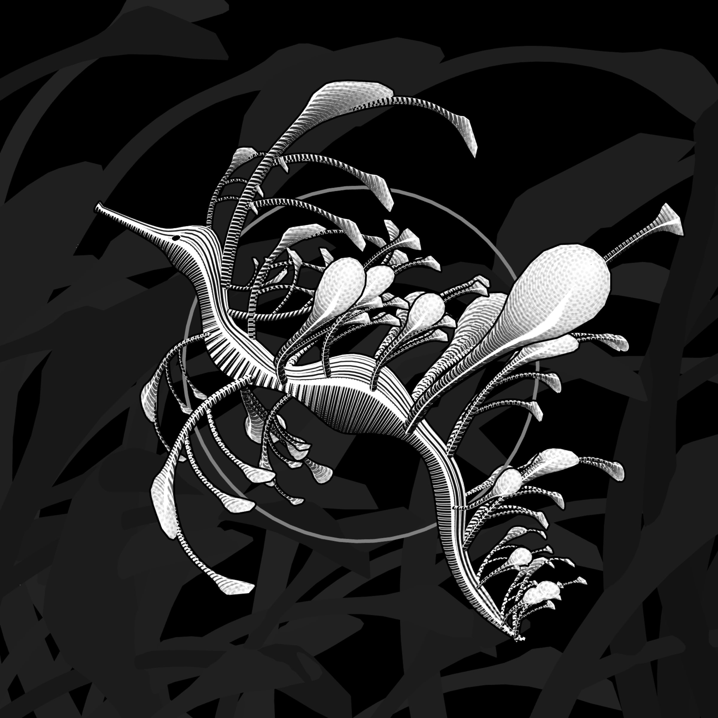 Featured token for: Seadragons