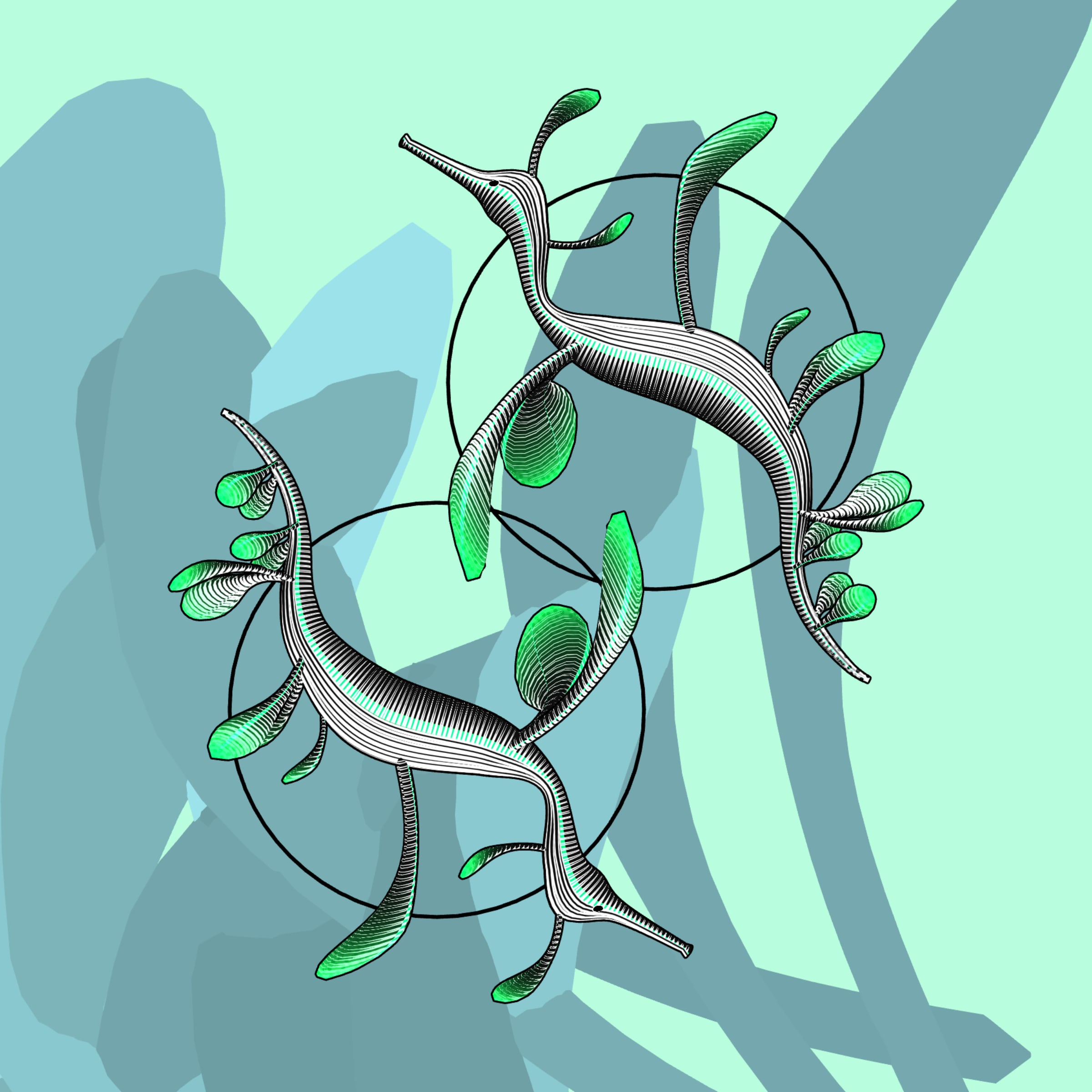 Featured token for: Seadragons