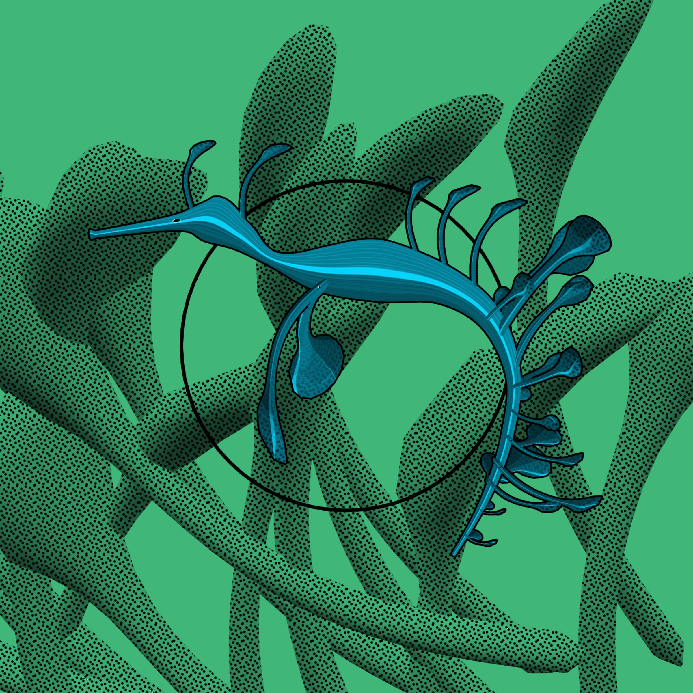 Featured token for: Seadragons