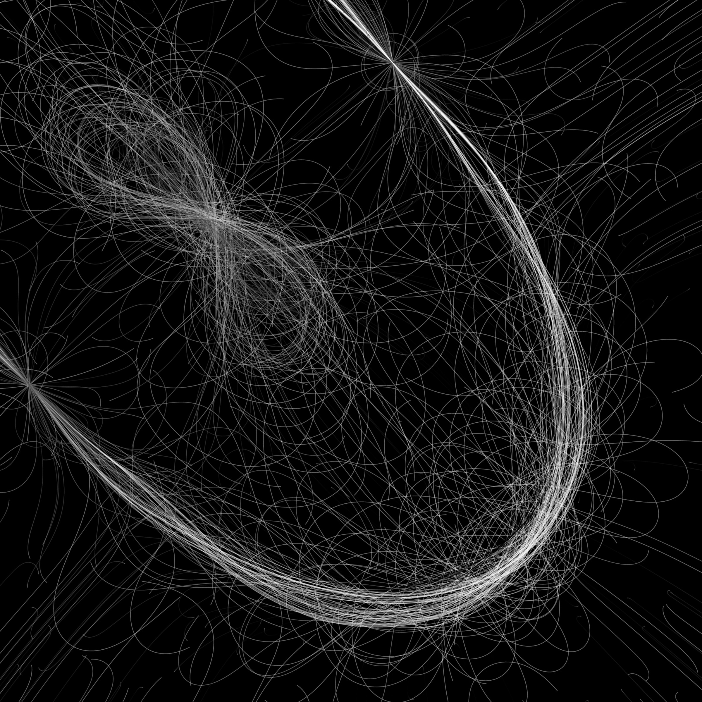 Phototaxis #164000649