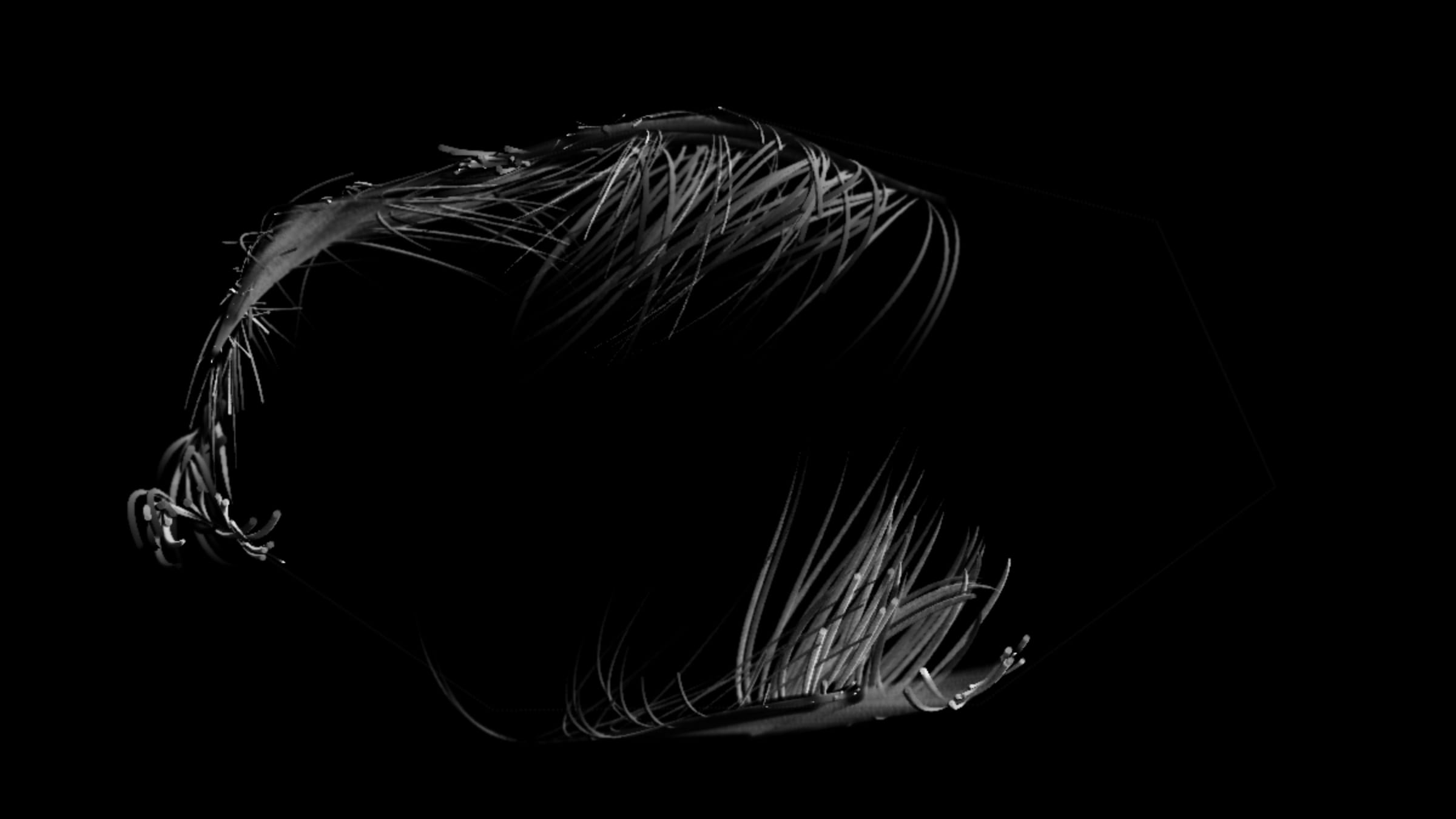 201000019