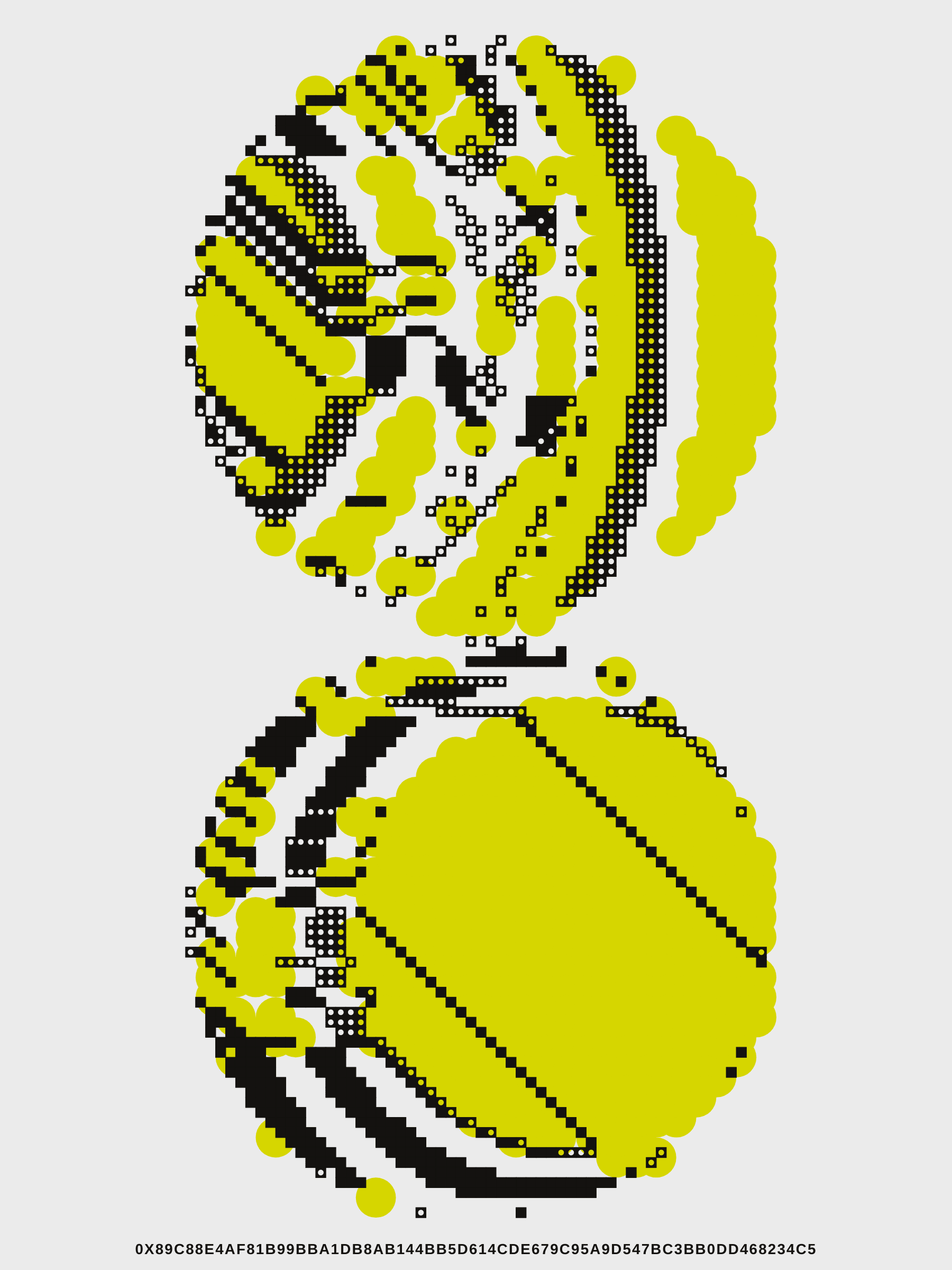 241000062