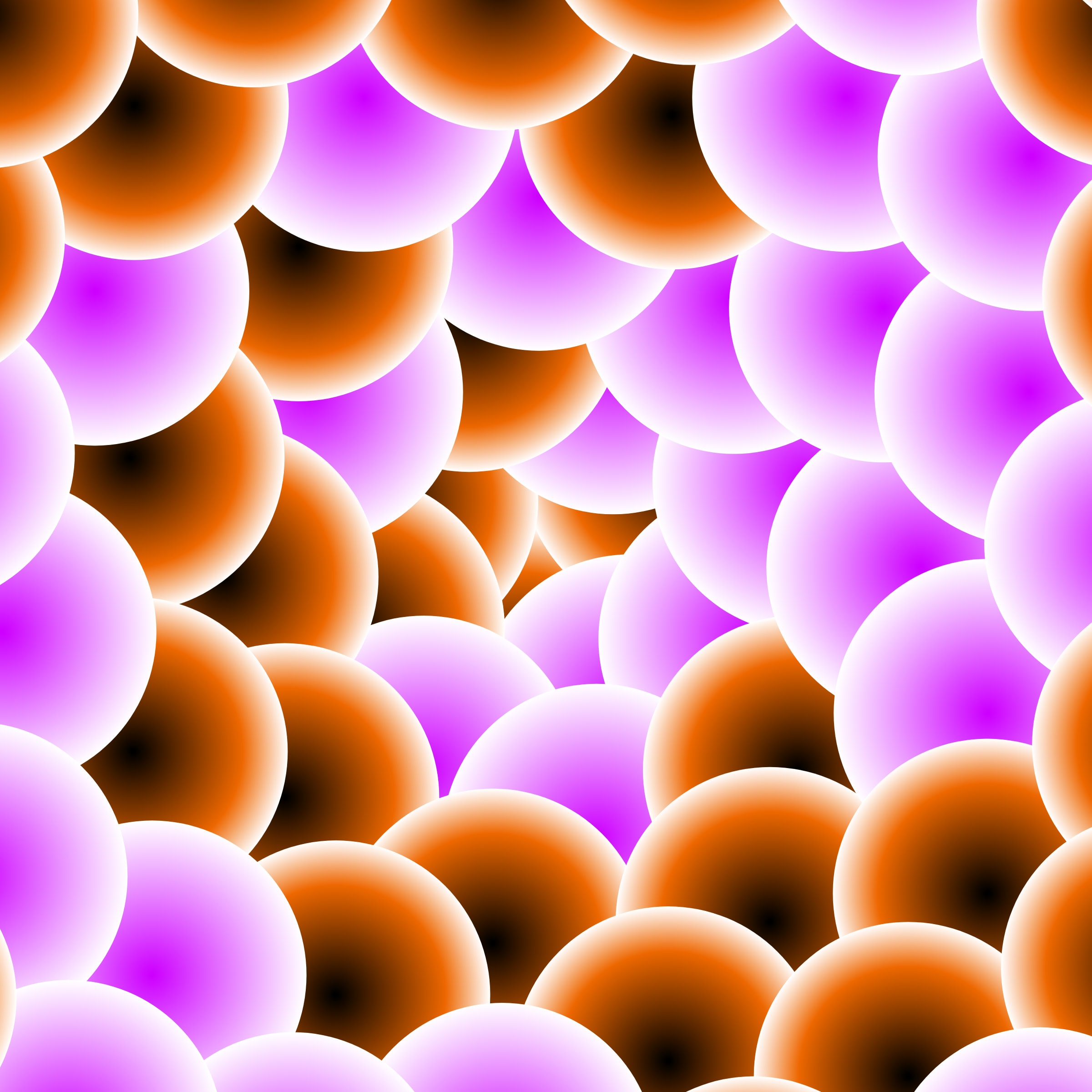 Non Either #260000023