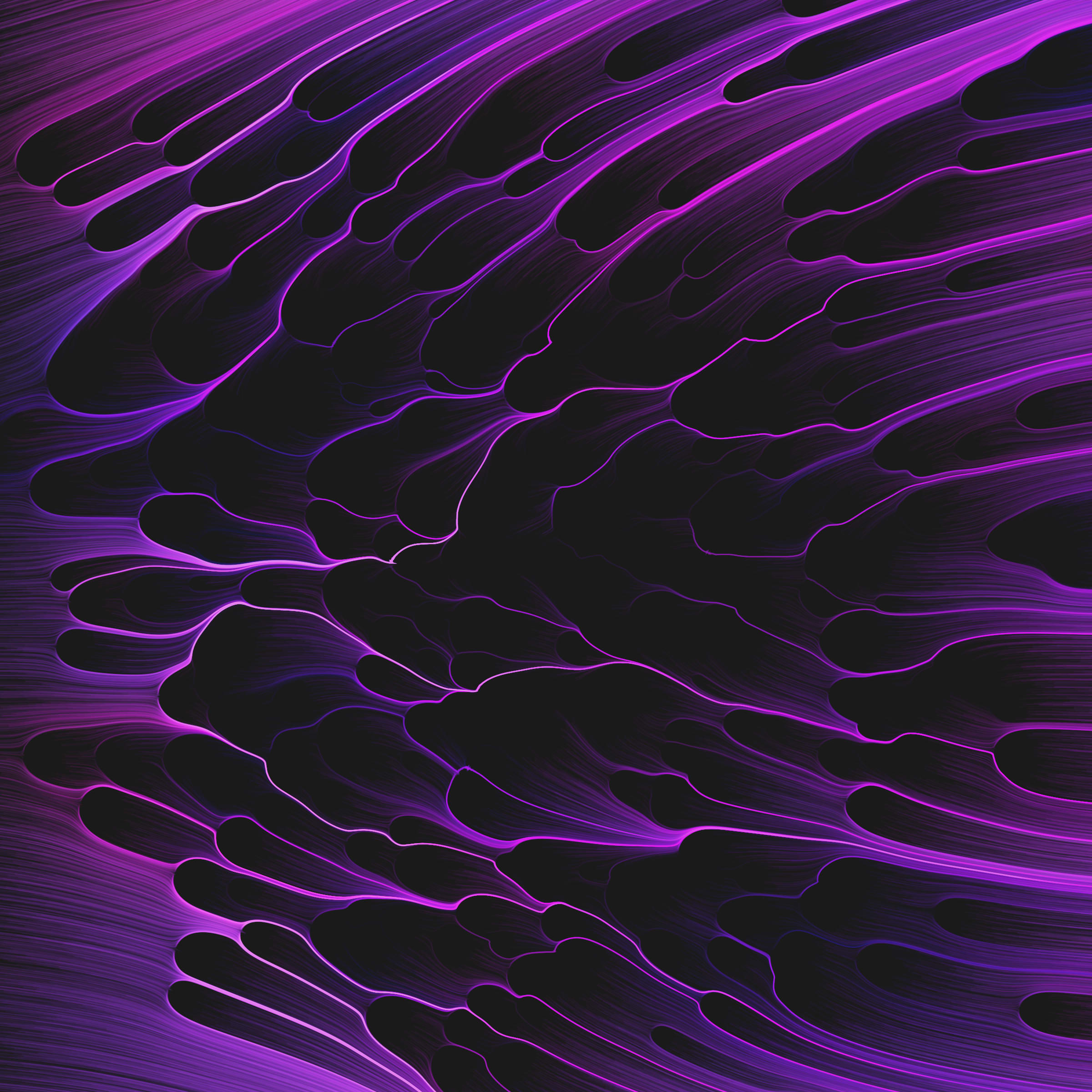 271000213