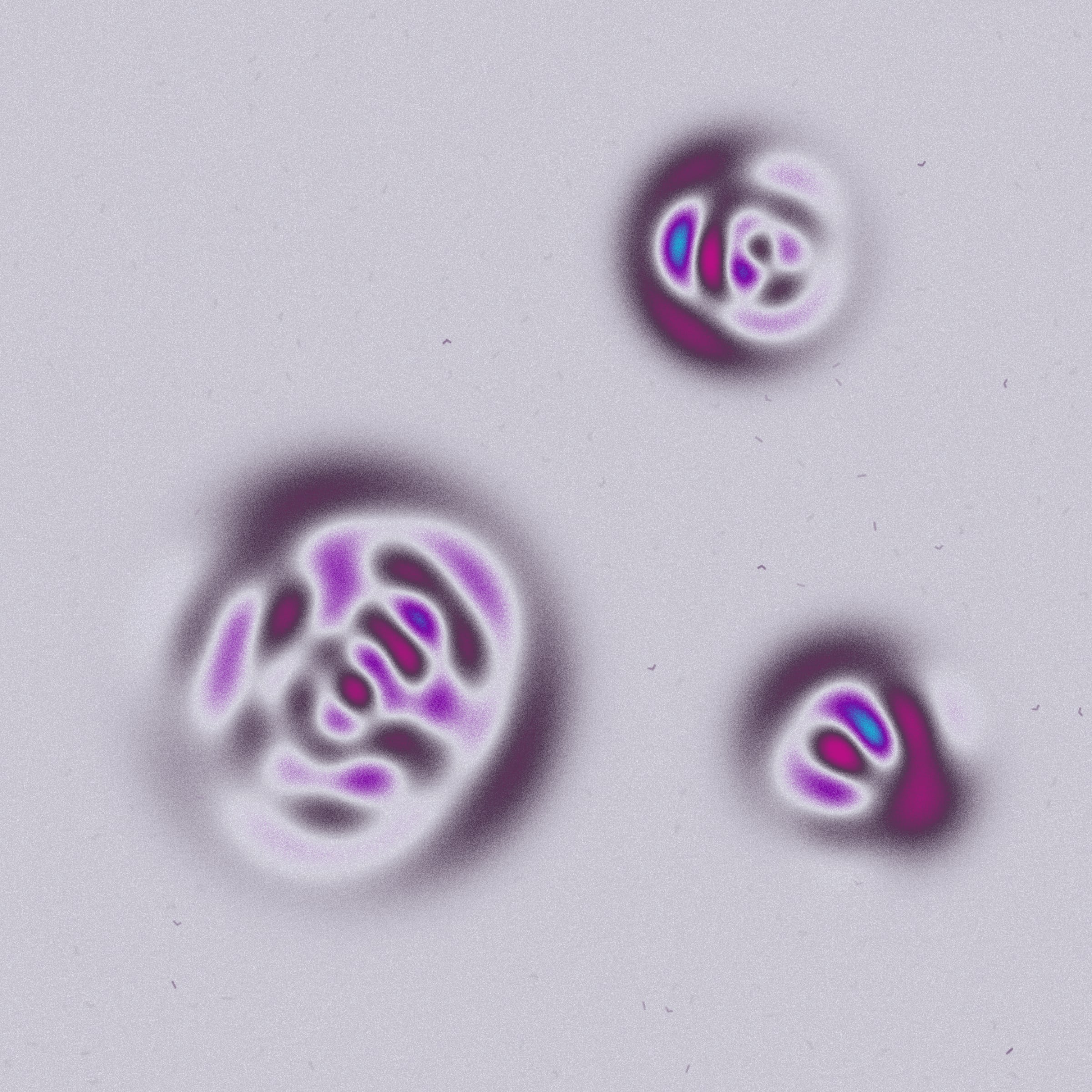 275000209