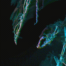 Neophyte MMXXII #279000068