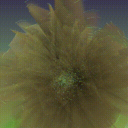 Neophyte MMXXII #279000105