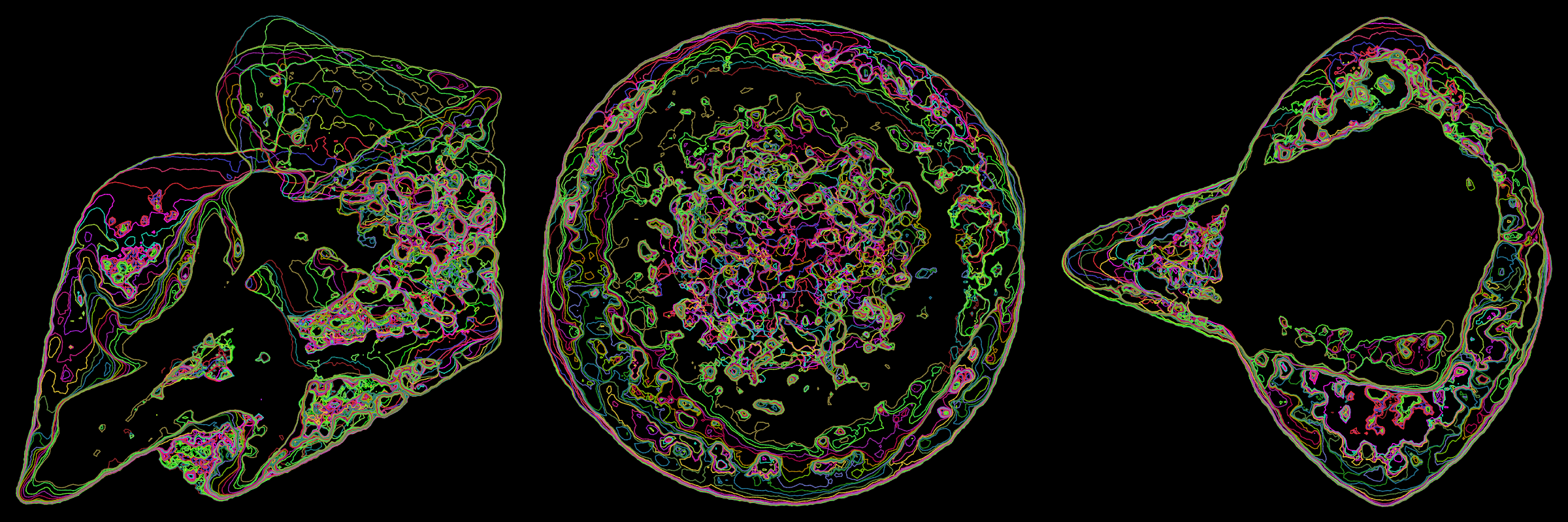 Featured token for: Primordial