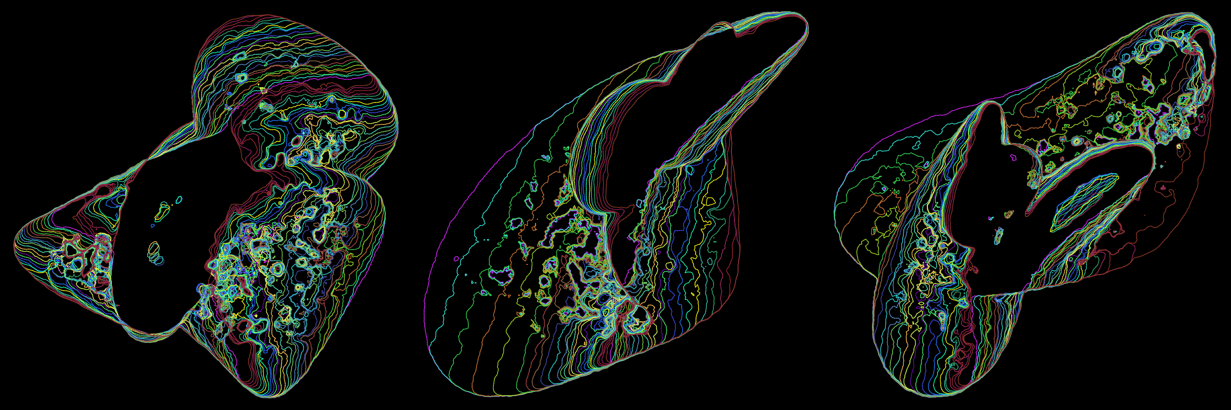 Primordial #302000315