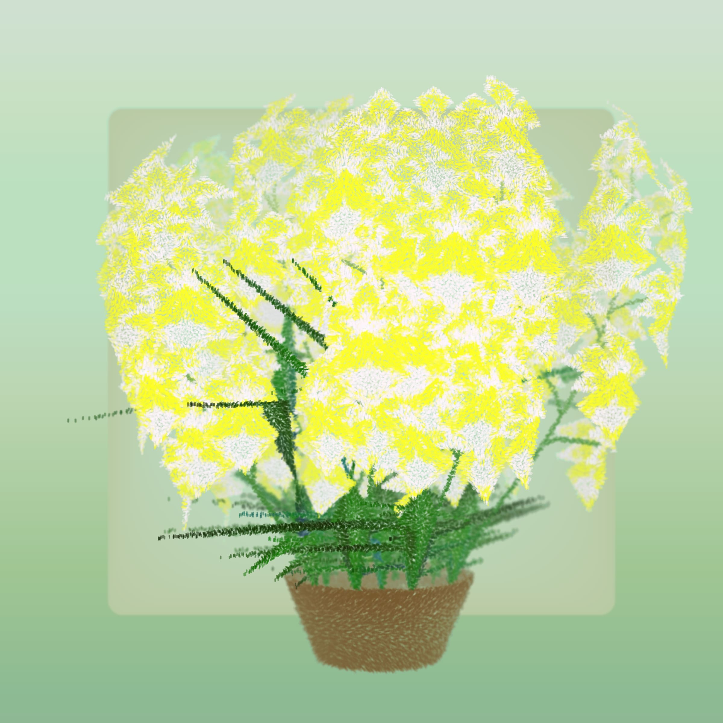 Featured token for: Cattleya