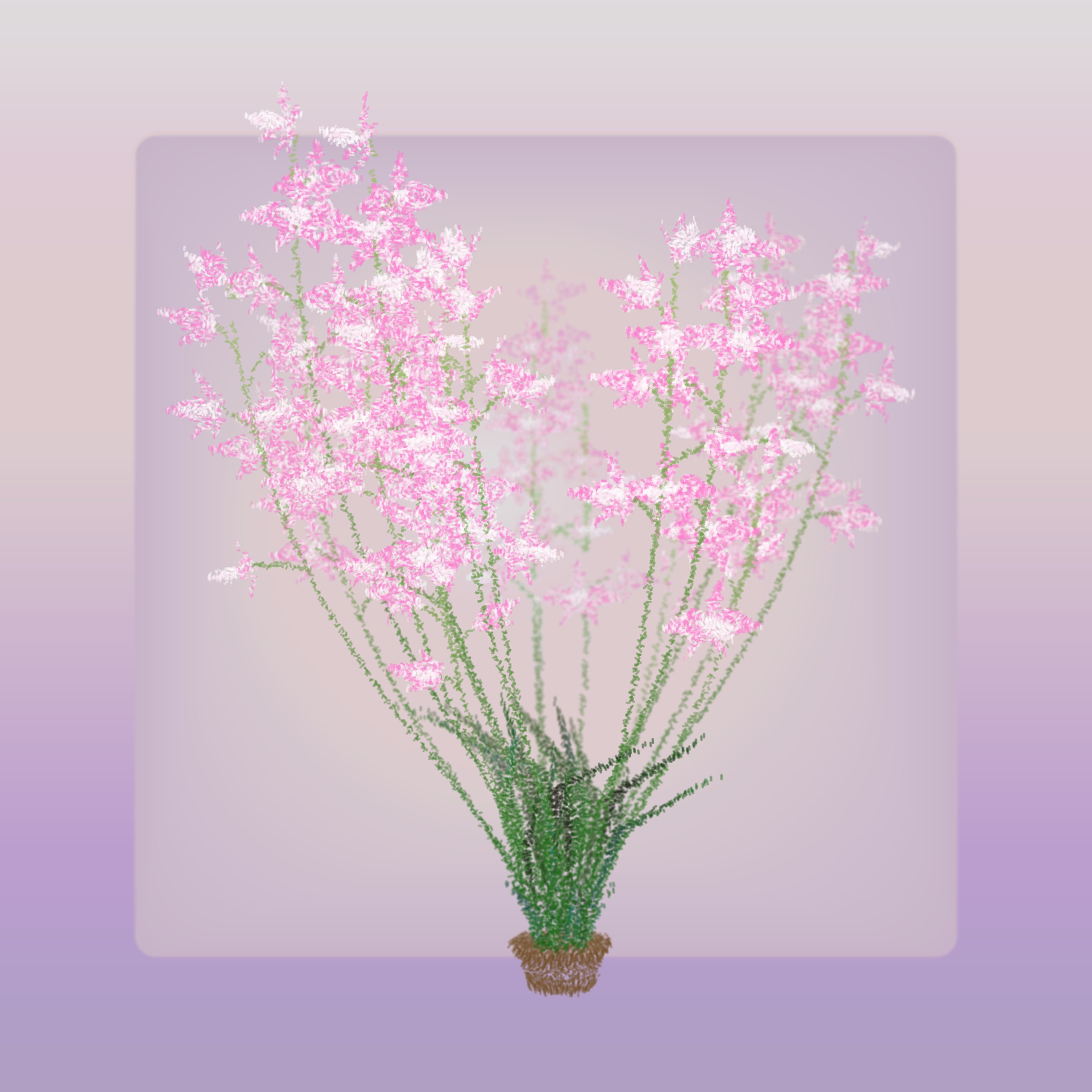 Featured token for: Cattleya