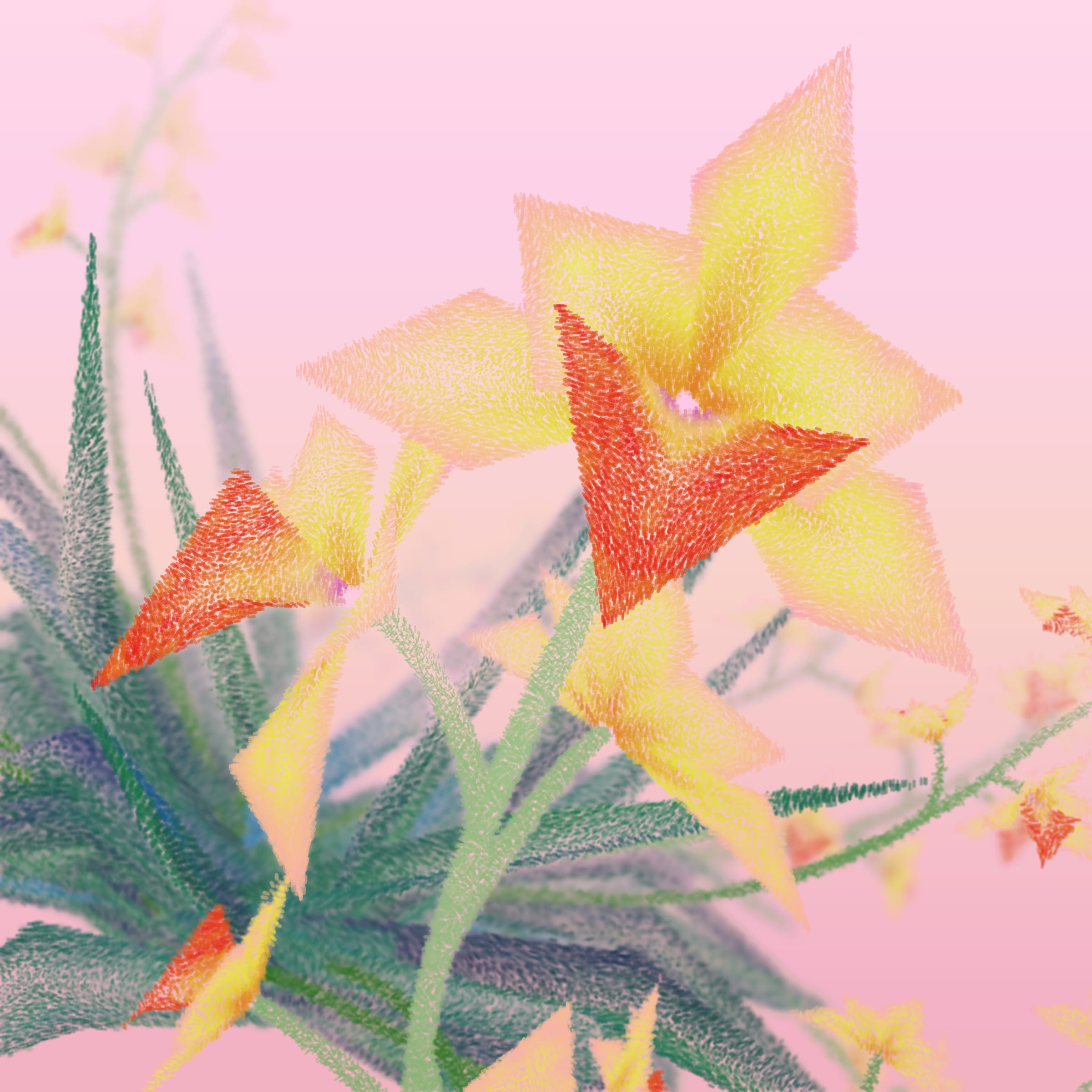 Featured token for: Cattleya