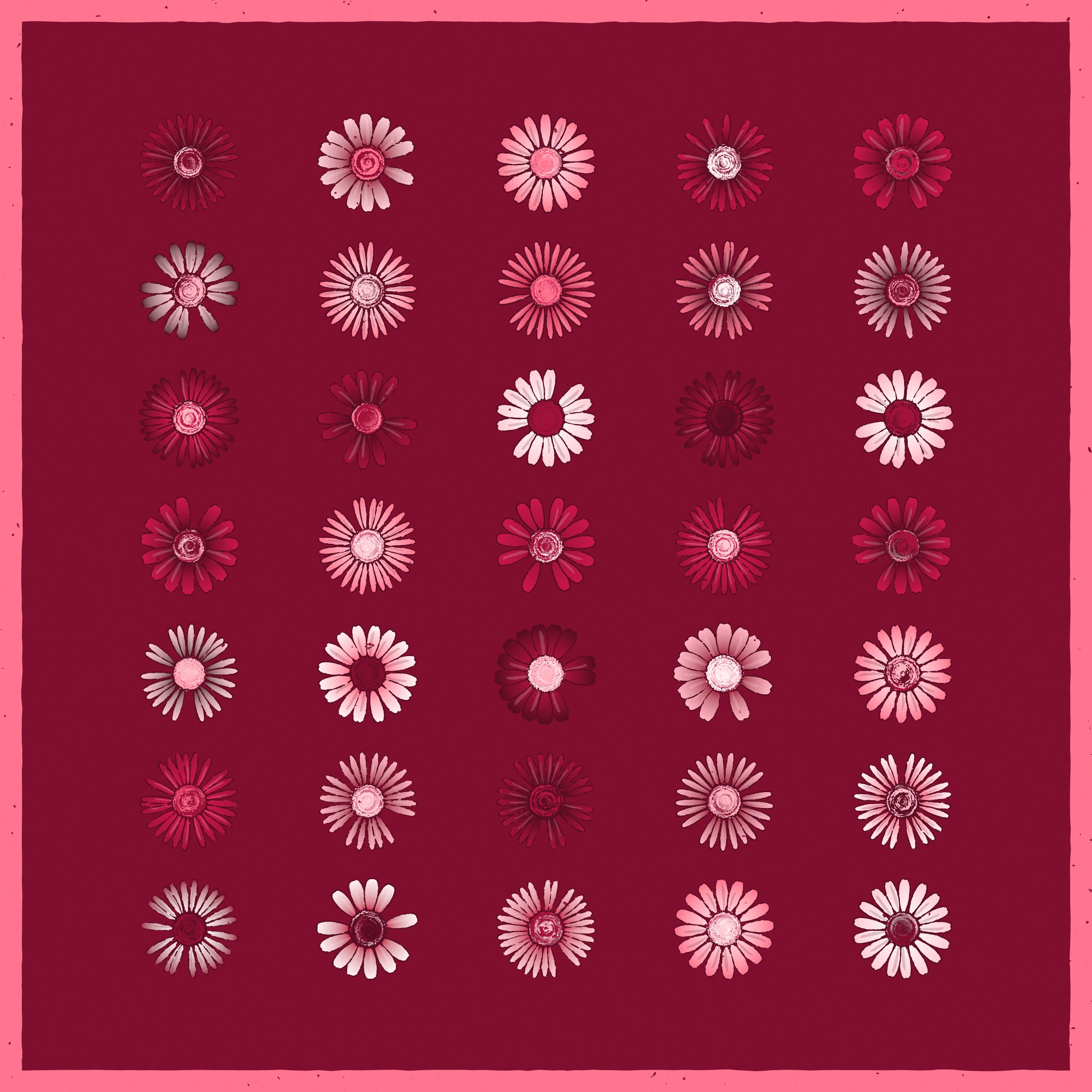 Daisies  #312000009