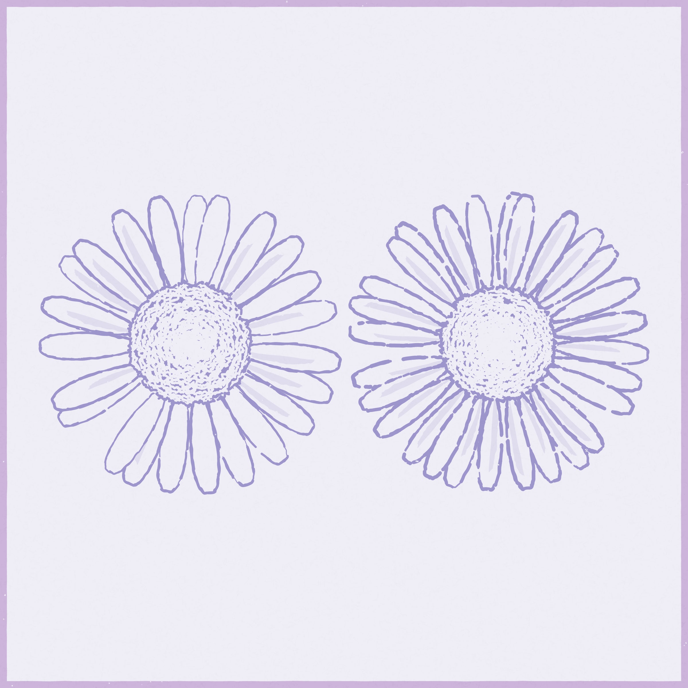 Daisies #312000187