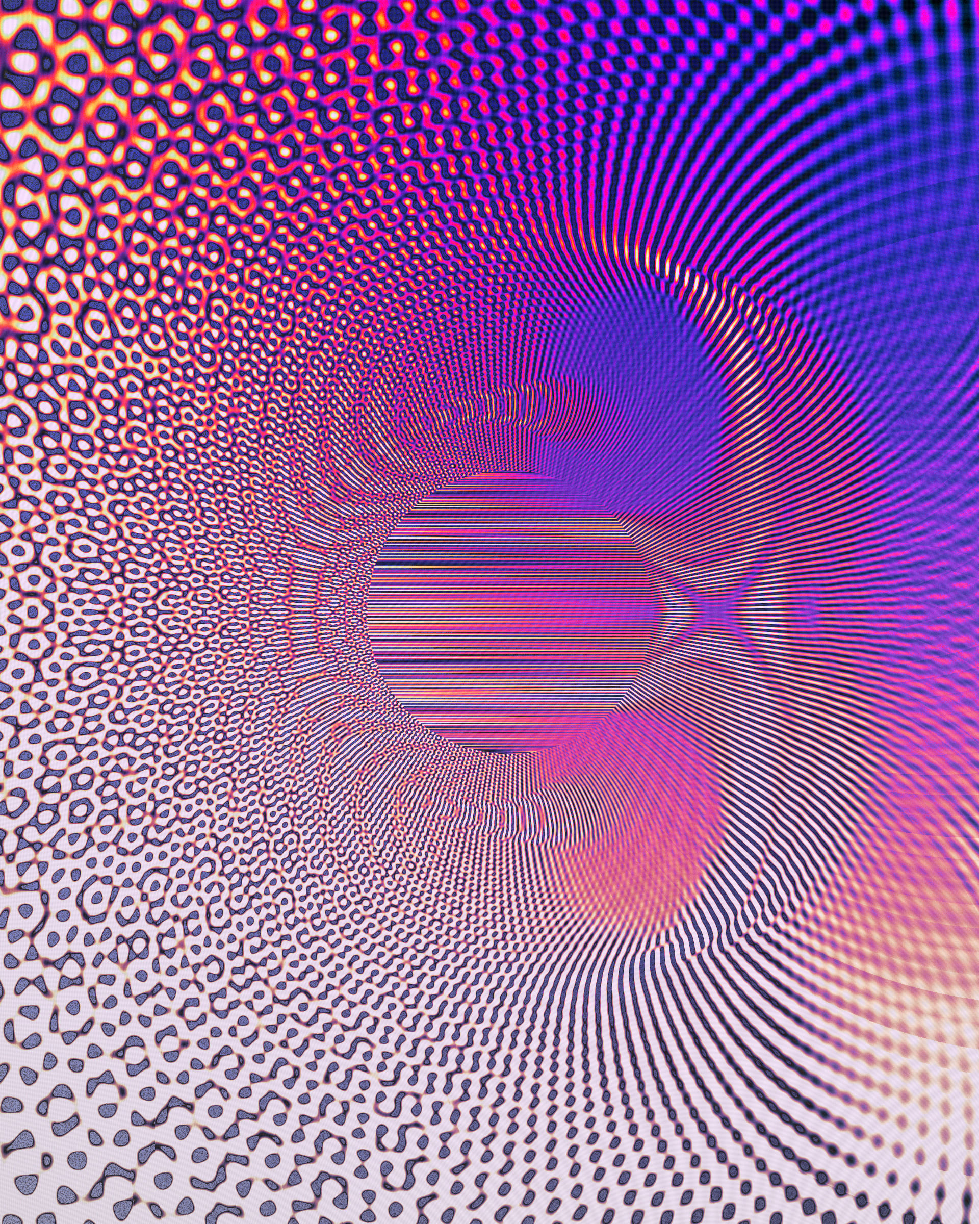 Photon's Dream #313000159