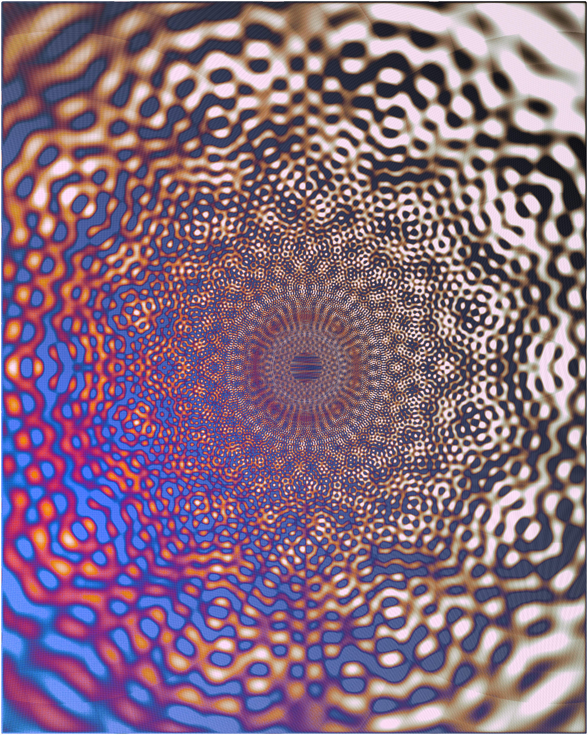 Photon's Dream #313000357