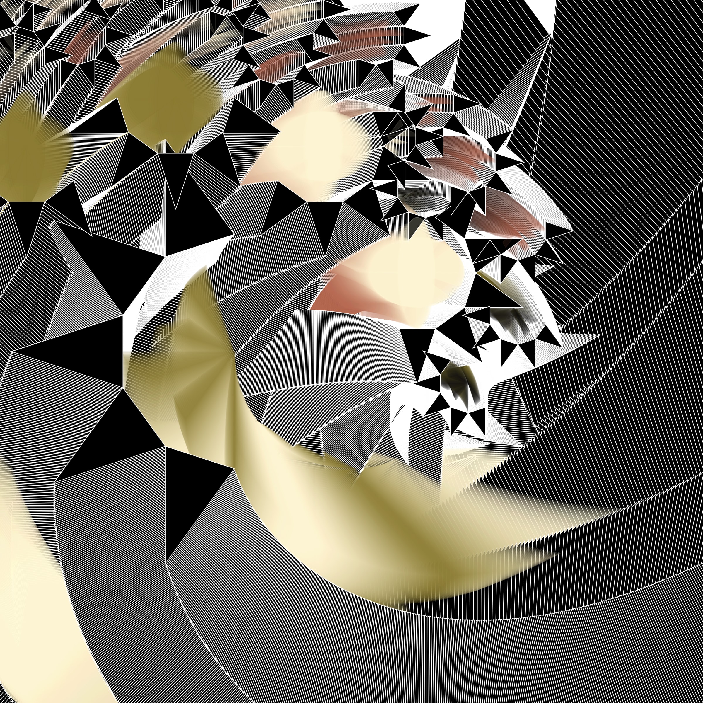 Rotor #315000238