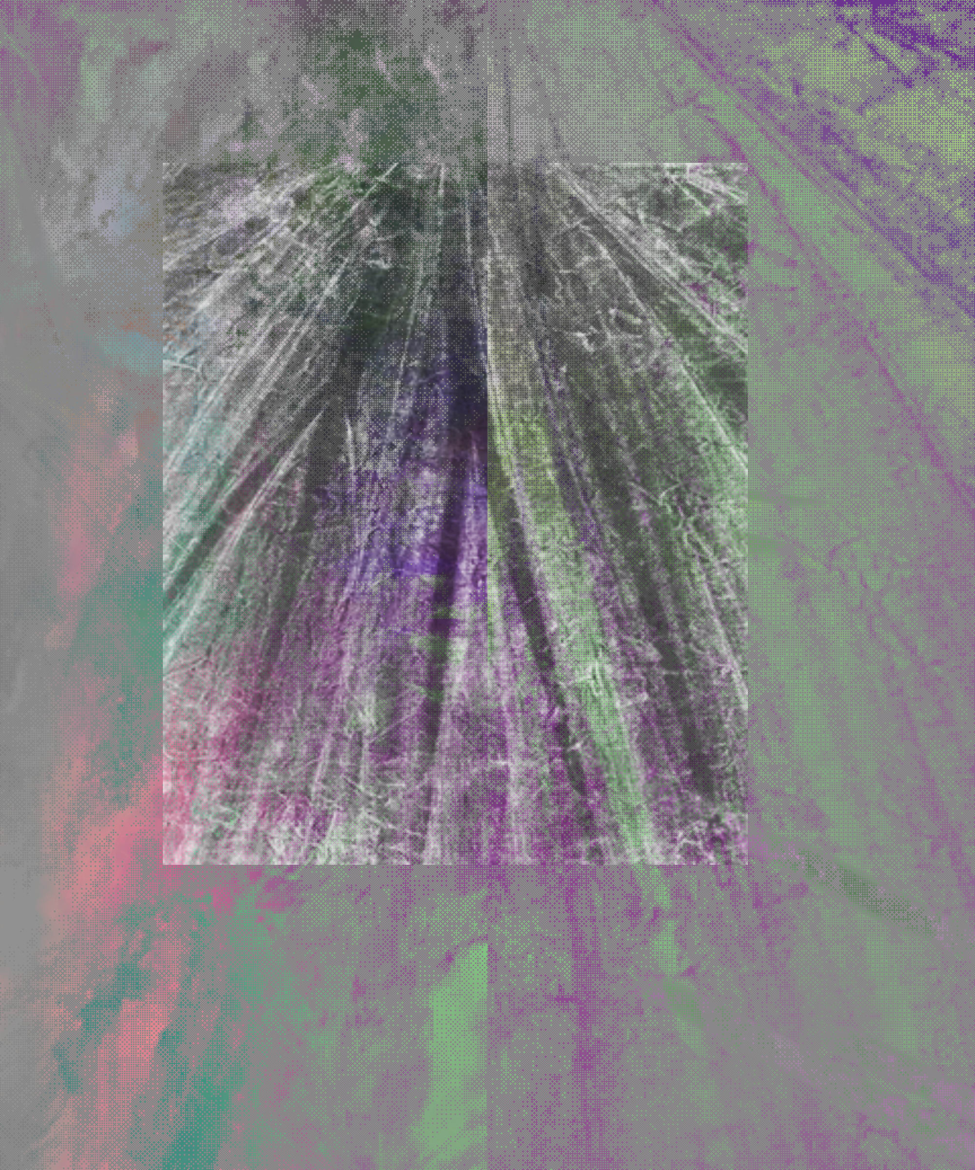 317000181