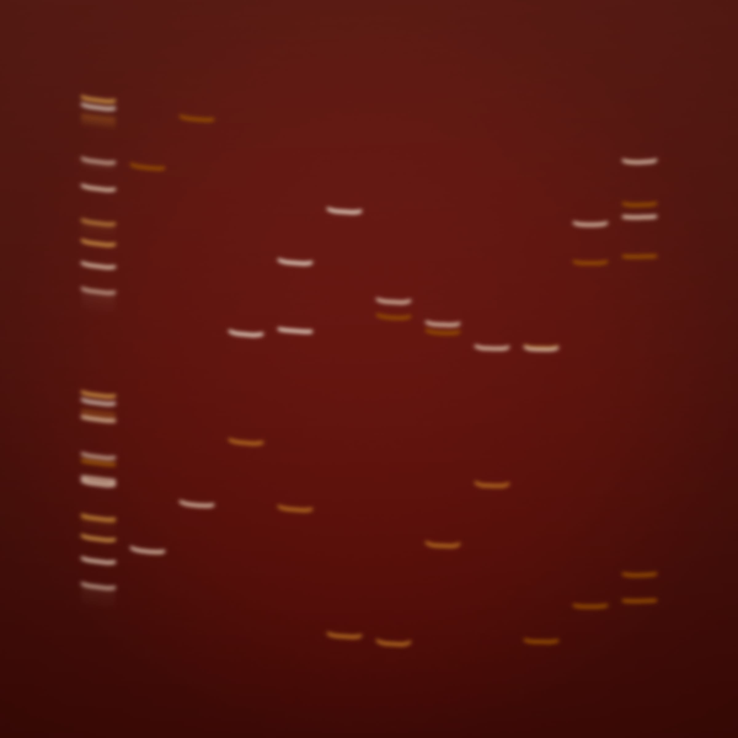 322000158