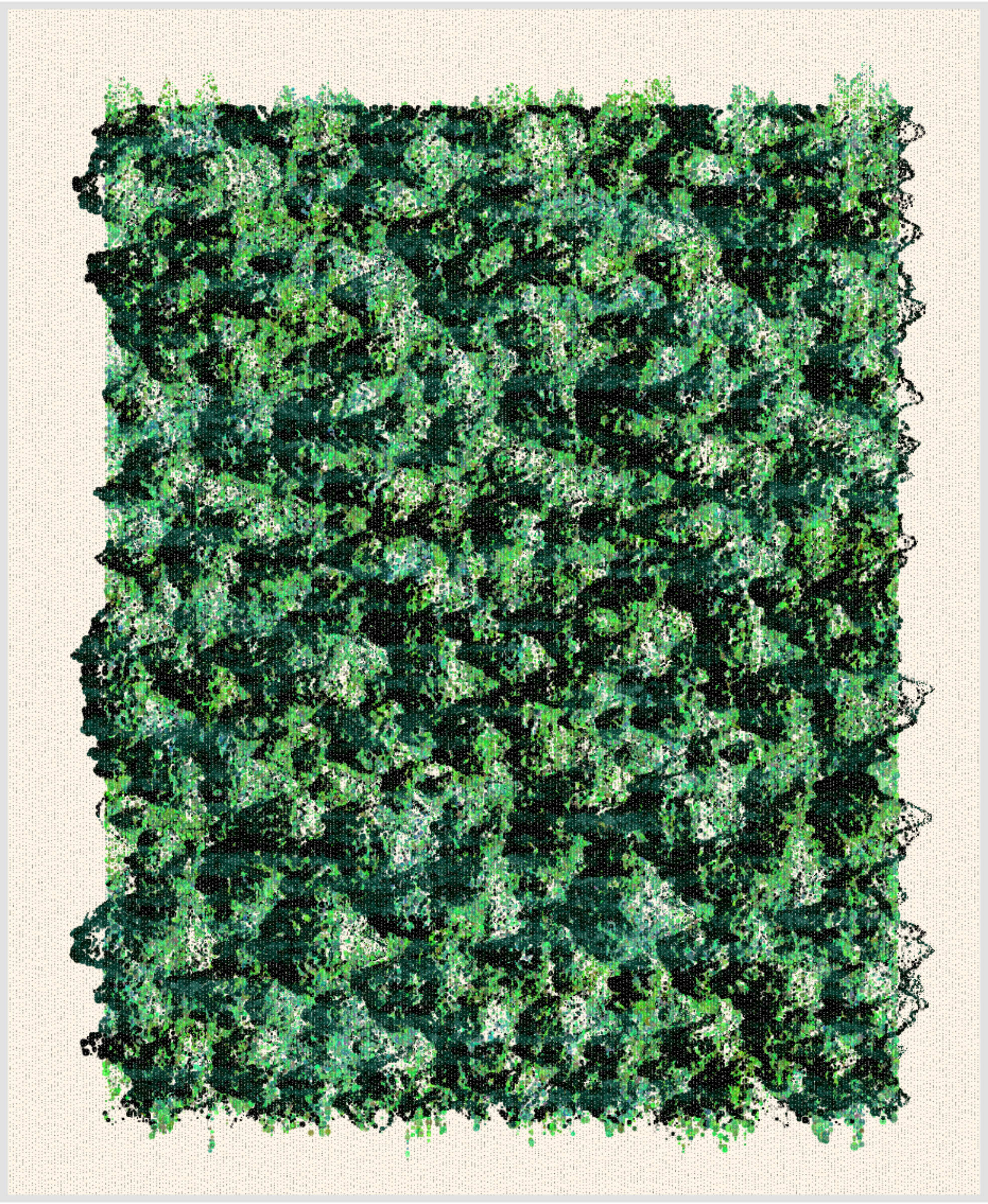 365000215