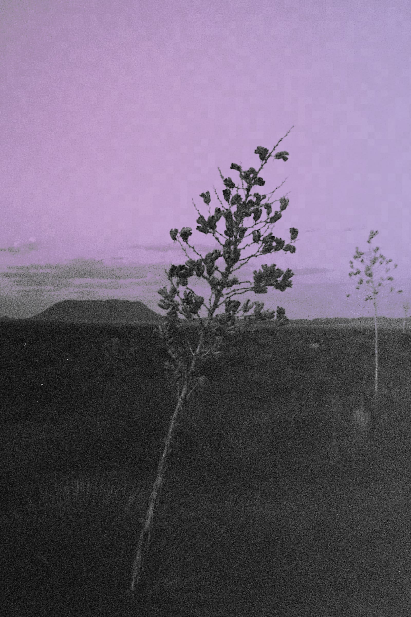 Featured token for: Marfa: Outtakes