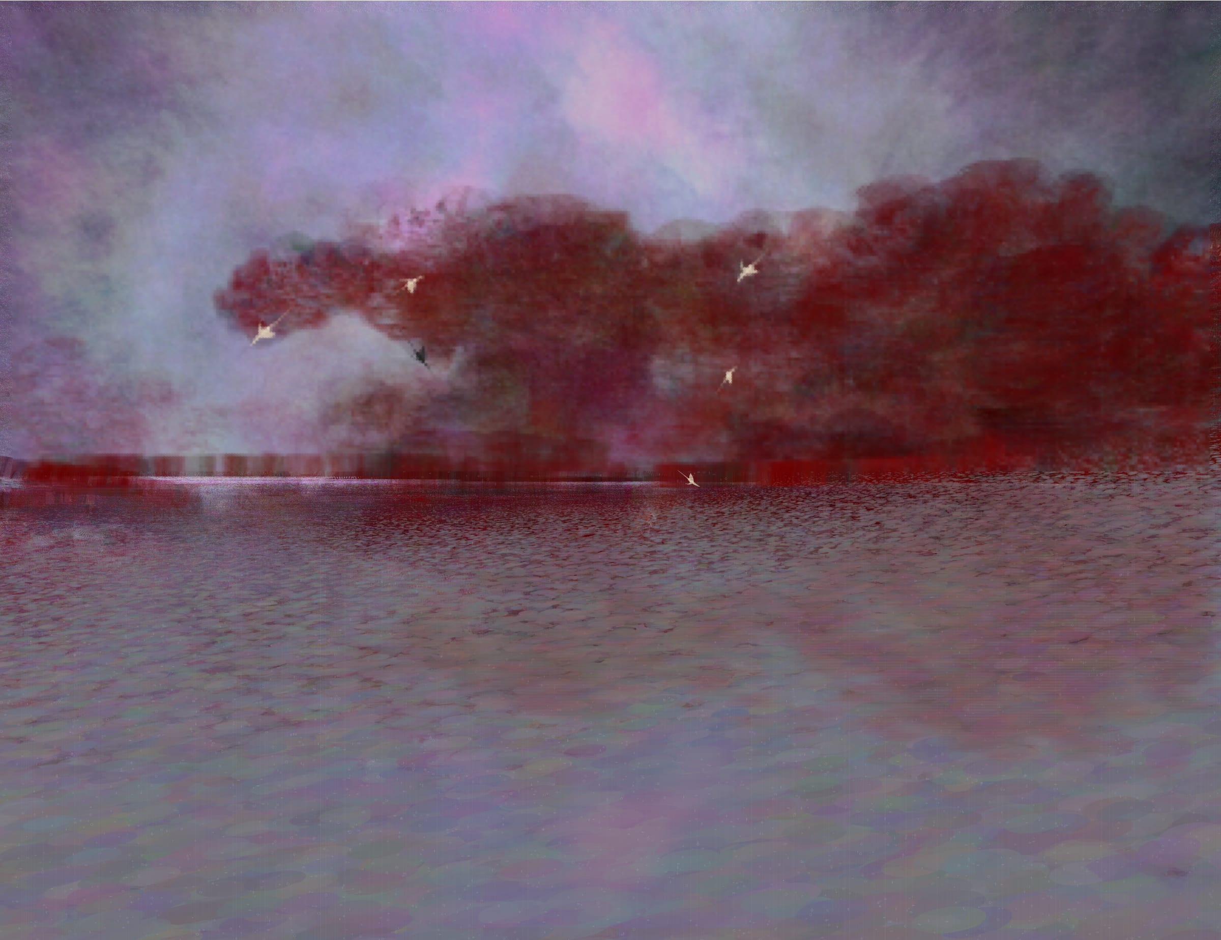 Seasky OOB #459000003