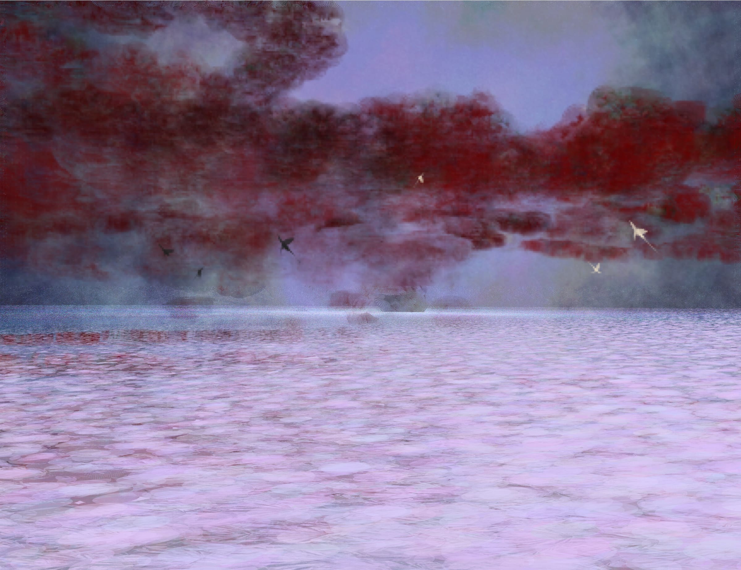 Seasky OOB #459000004