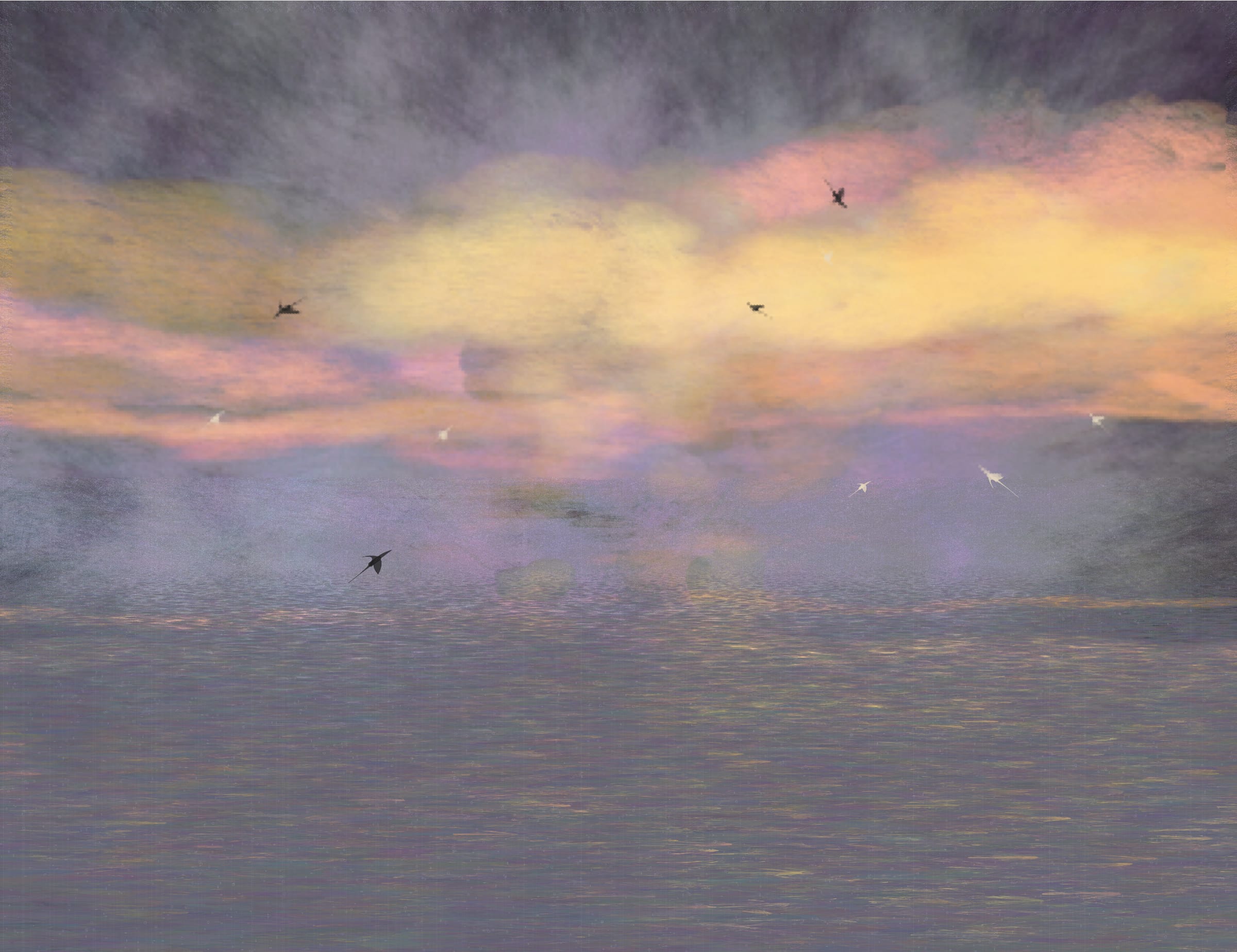 Seasky OOB #459000006