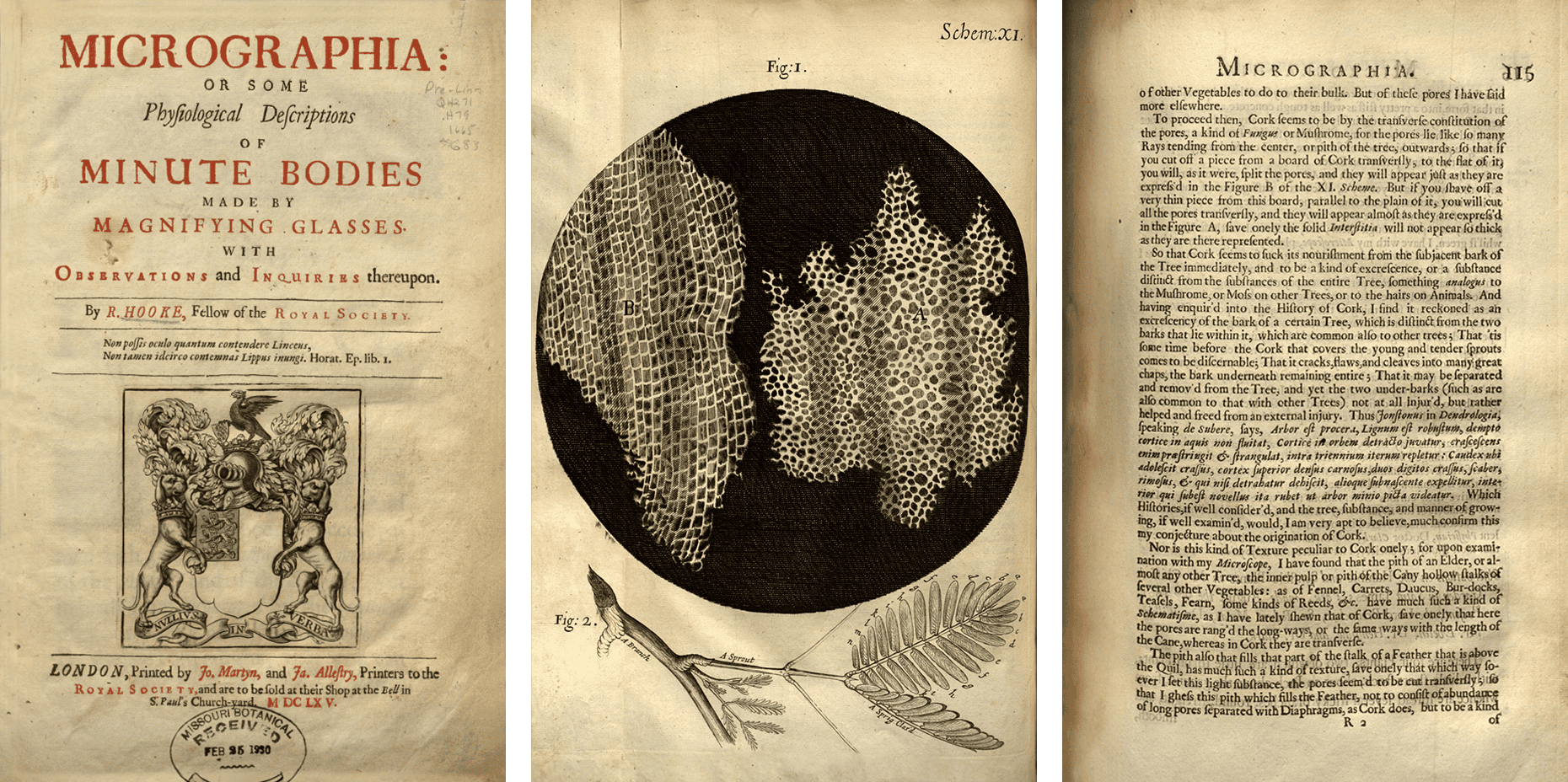 micrographia_1665.png