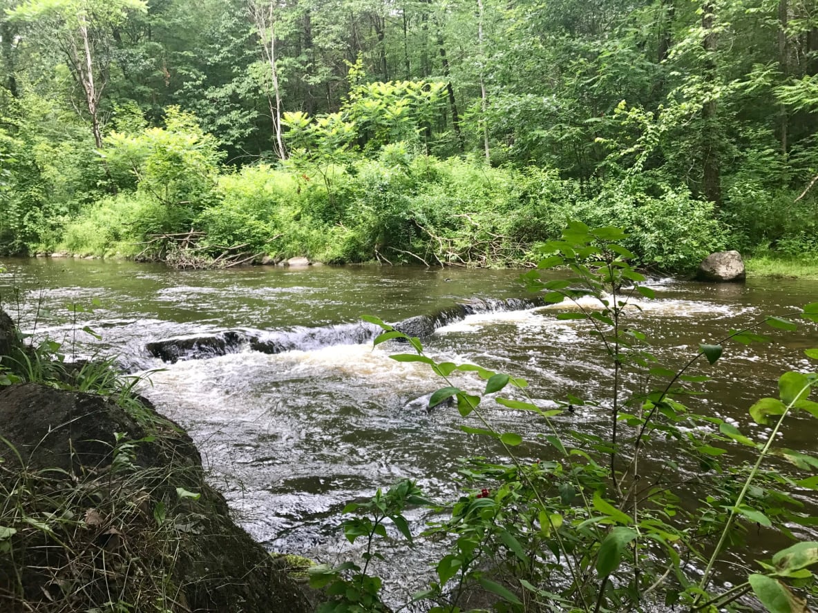 Fish, Camp, Enjoy!
